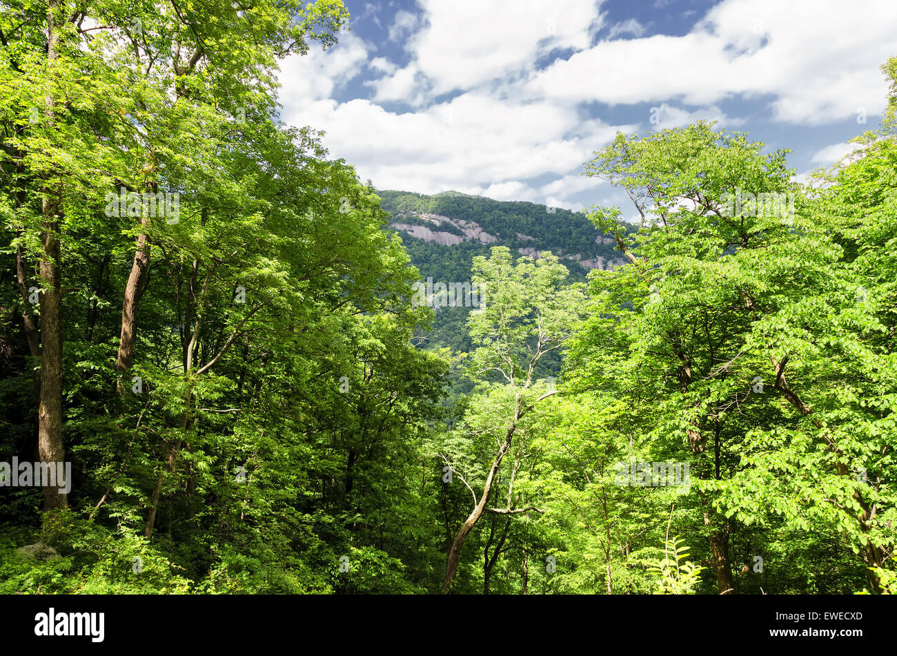 Si affacciano dalla ciminiera rock mountain, North Carolina, Stati Uniti Foto Stock