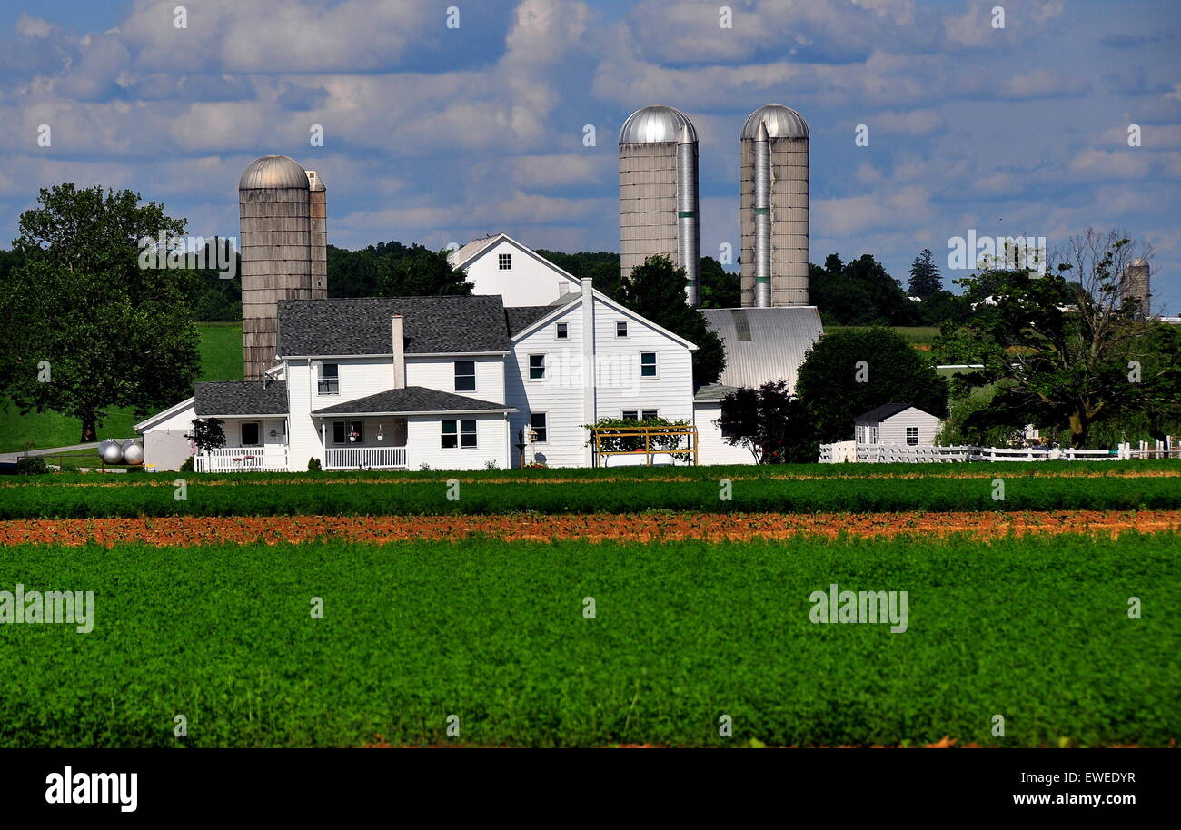 Lancaster County, Pennsylvania: fattoria Amish complesso con silos, agriturismo, e campi di colture estive * Foto Stock