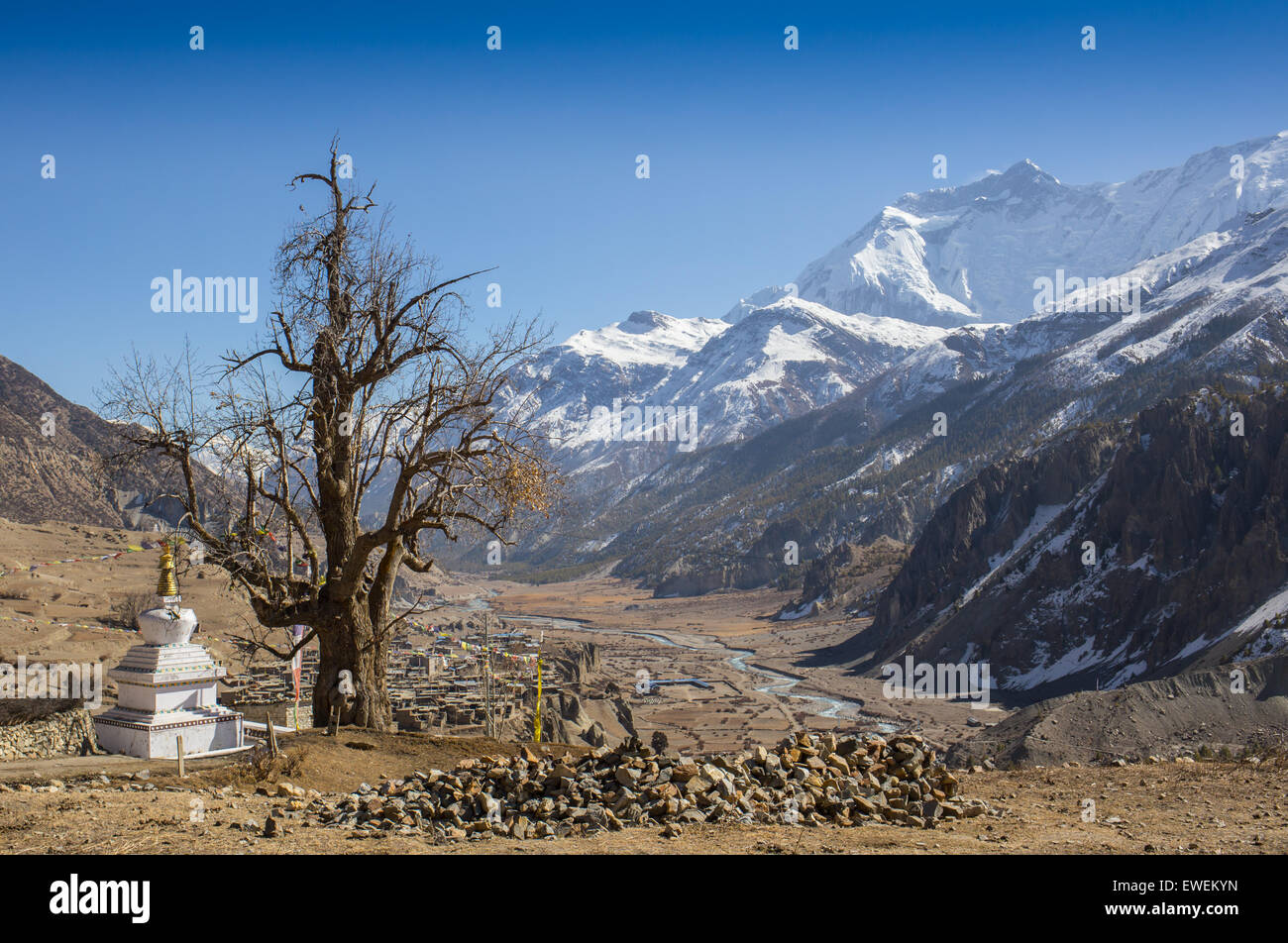 Annapurna Sud peack in Nepal Himalaya Foto Stock