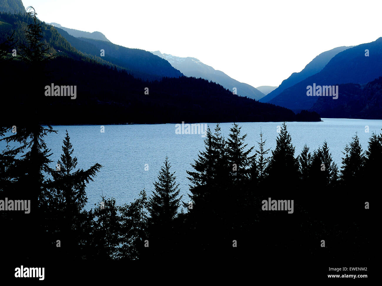 Scenic vista serale da Strathcona Park Lodge, Isola di Vancouver, British Columbia, Canada. Foto Stock