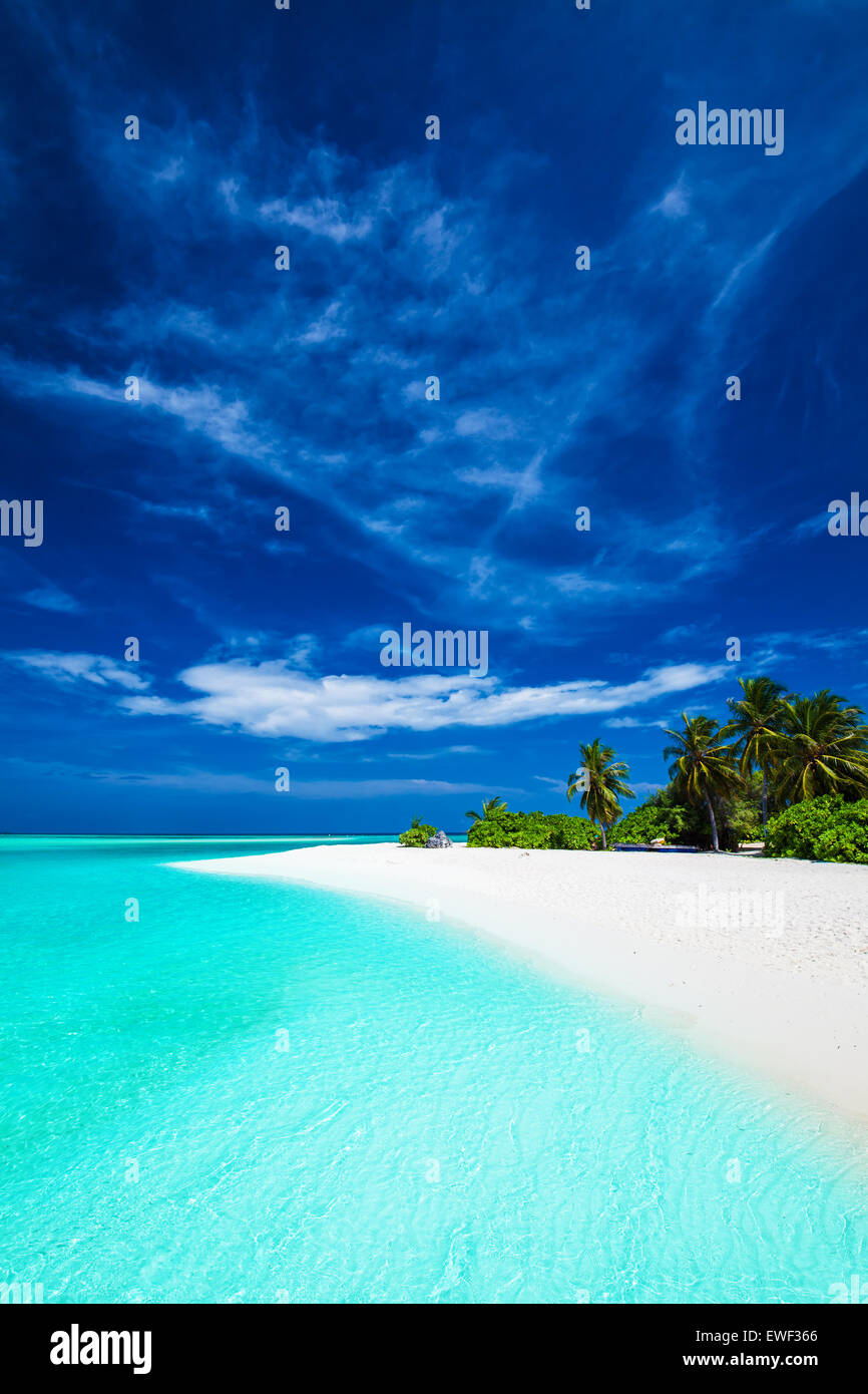 Bianca spiaggia tropicale con bellissimo cielo con pochi alberi di palma e la laguna blu Foto Stock