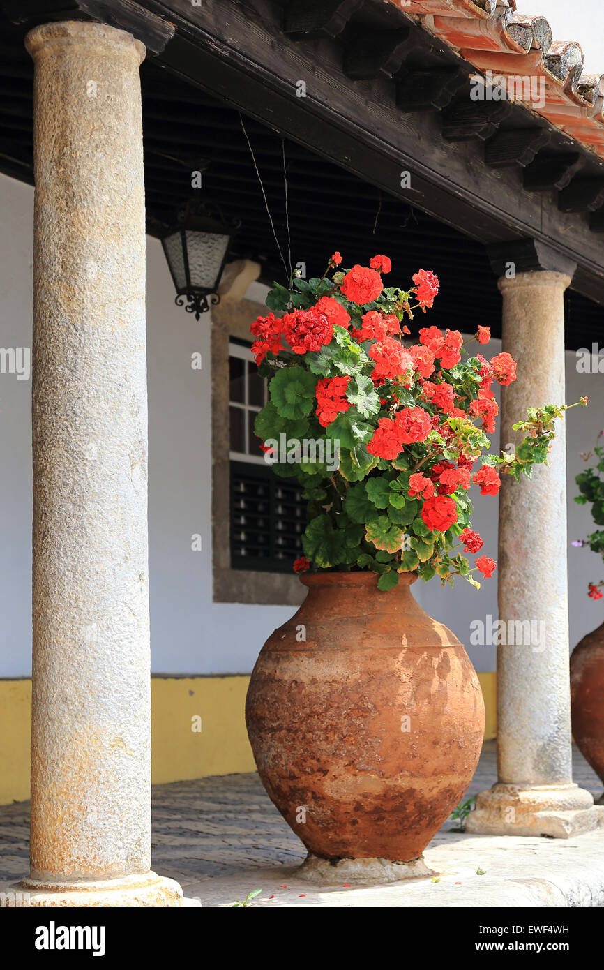 Vaso di fiori nella città di Obidos, Portogallo Foto Stock