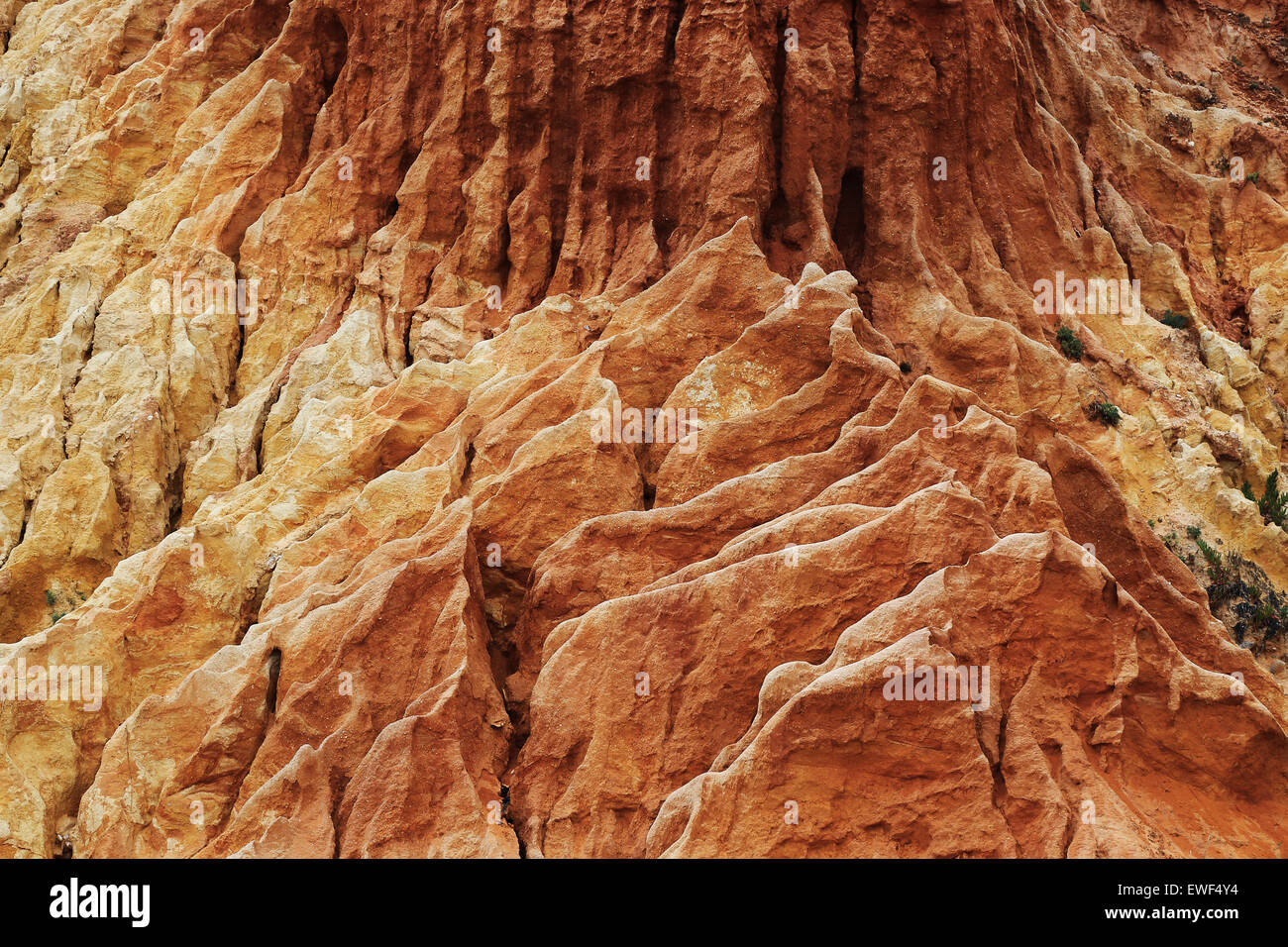 Erosione di roccia, Sagres Portogallo Foto Stock