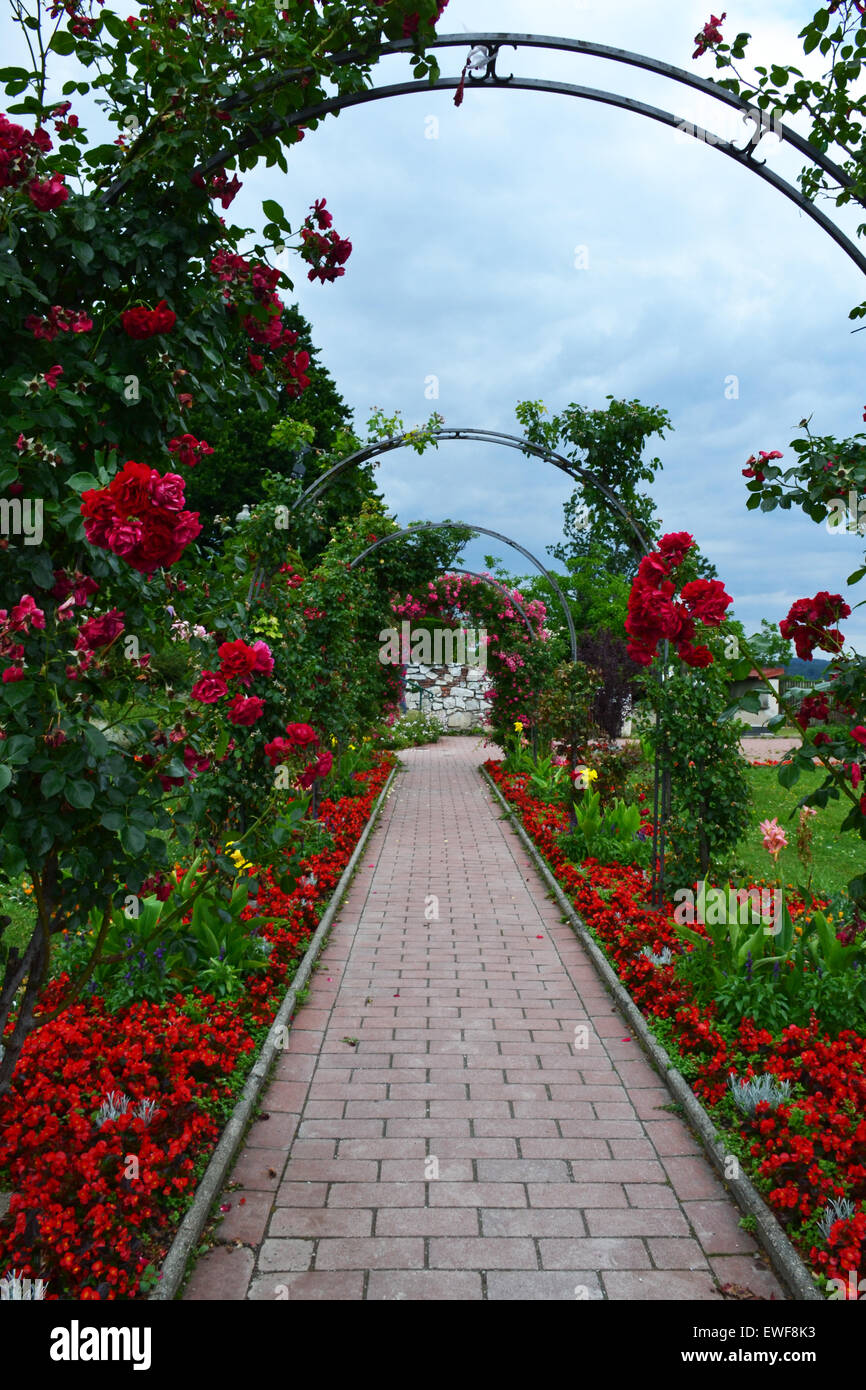 Percorso del giardino con arco di rose Foto Stock