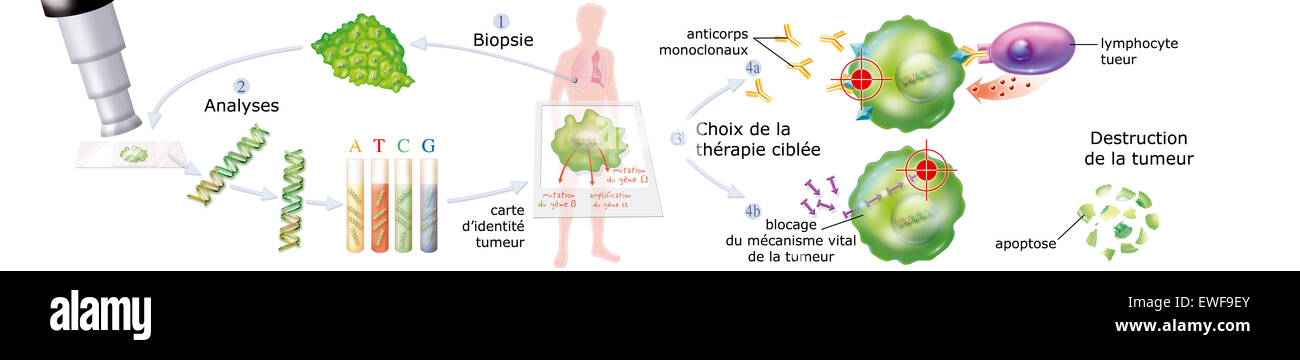 Terapia mirata Foto Stock