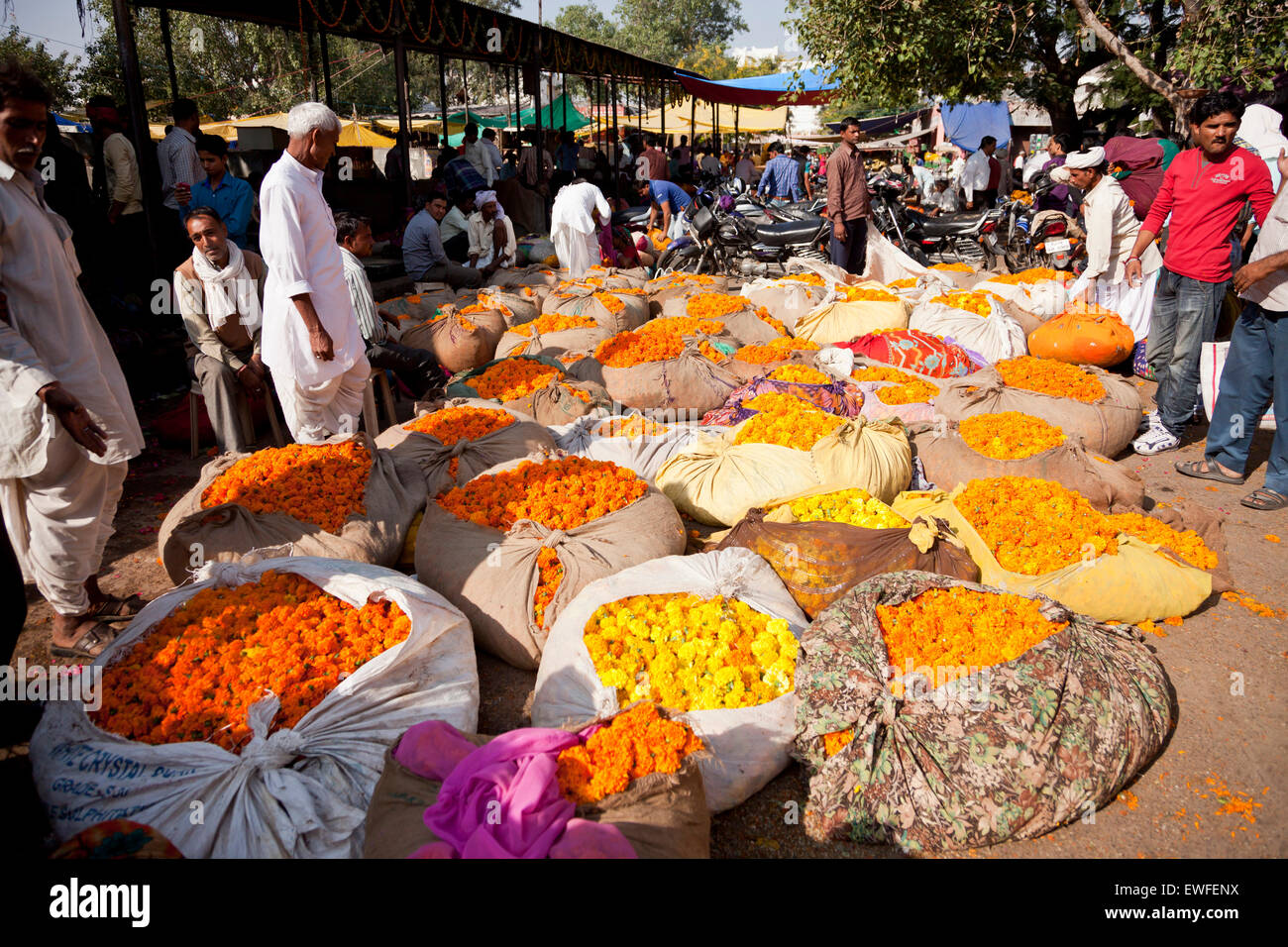 Mercato dei fiori a Jaipur, Rajasthan, India, Asia Foto Stock