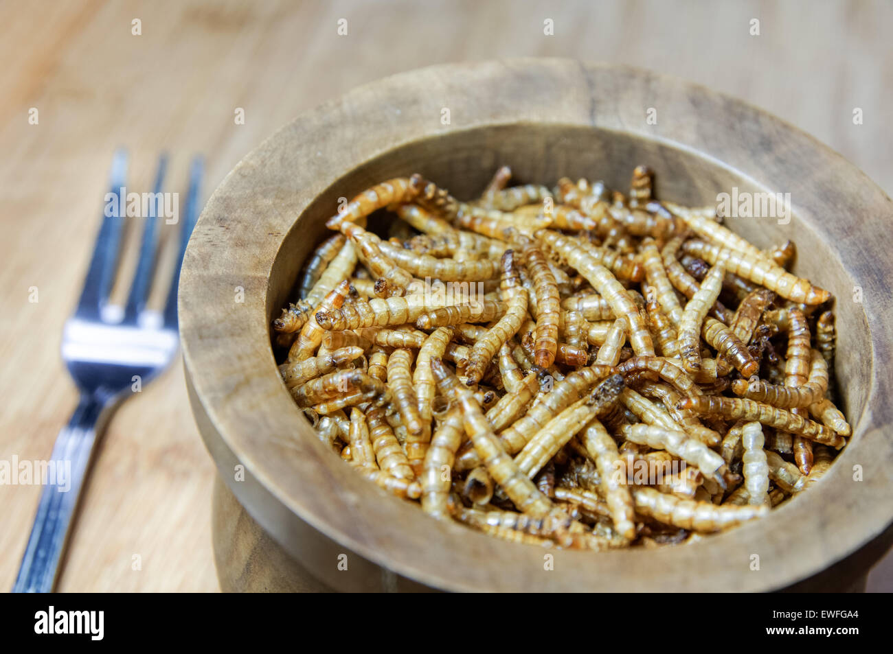 Mealworms commestibili in una ciotola Foto Stock