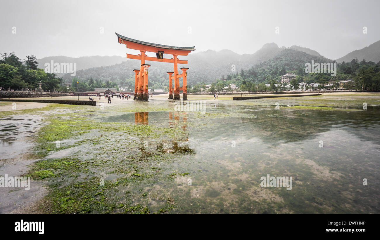 Miyajima, Floating Torii gate, bassa marea, Giappone. Foto Stock