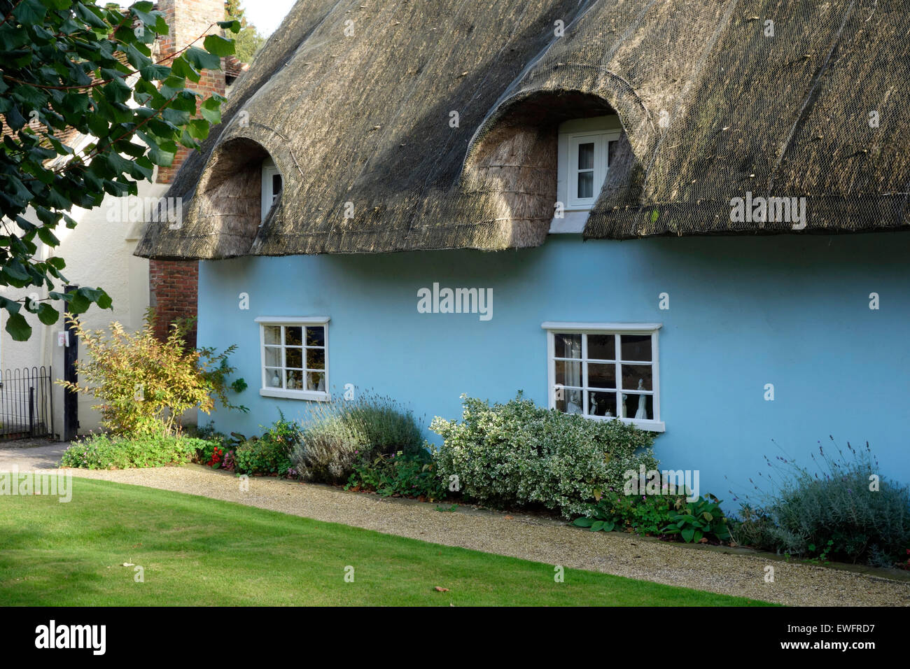 Cottage con il tetto di paglia nel villaggio di Westmill, Herts Foto Stock