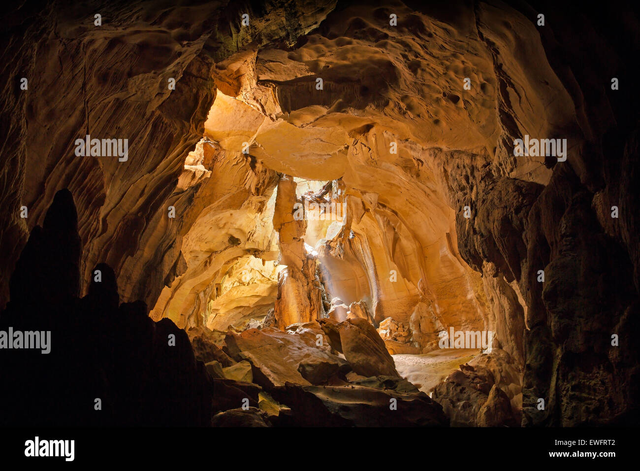Fascio di luce nella grotta di Bat, Bukit Lawang, Indonesia Foto Stock