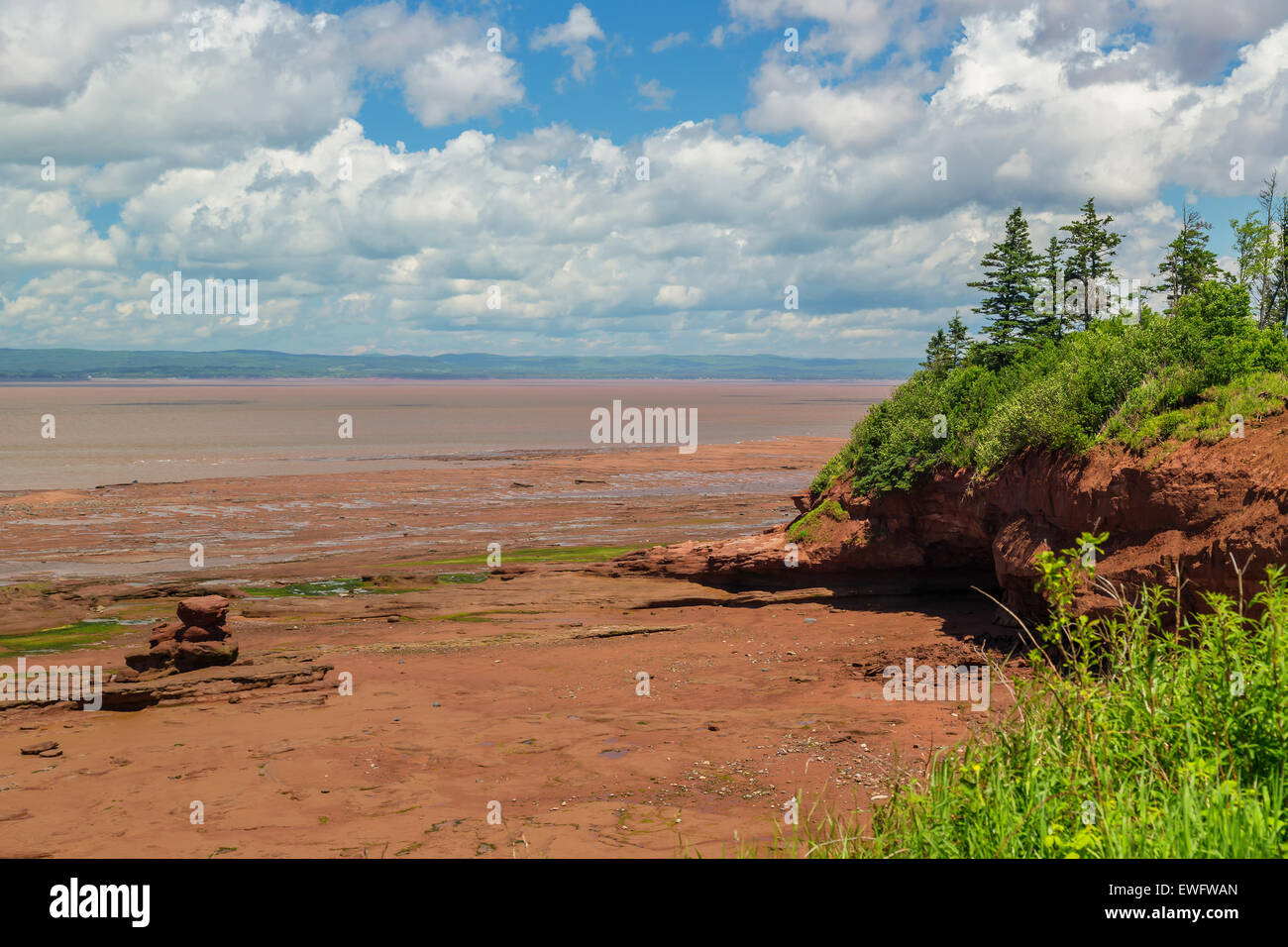Vista in testa Burncoat Parco sulla Baia di Fundy in Nova Scotia. Dove i più grandi maree del mondo sono riportati. Foto Stock