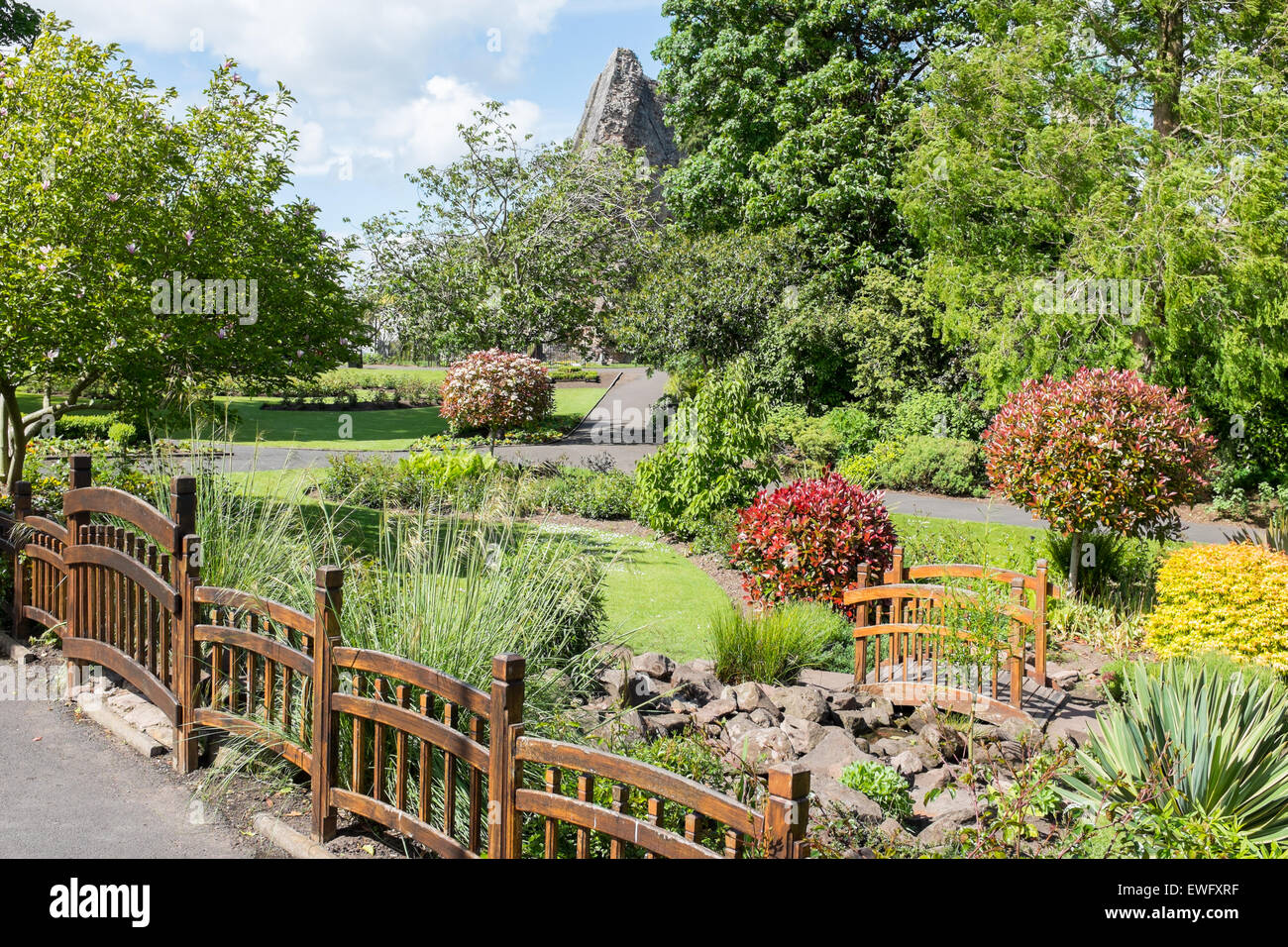 Piante e arbusti in Bridgnorth Town Park in estate Foto Stock