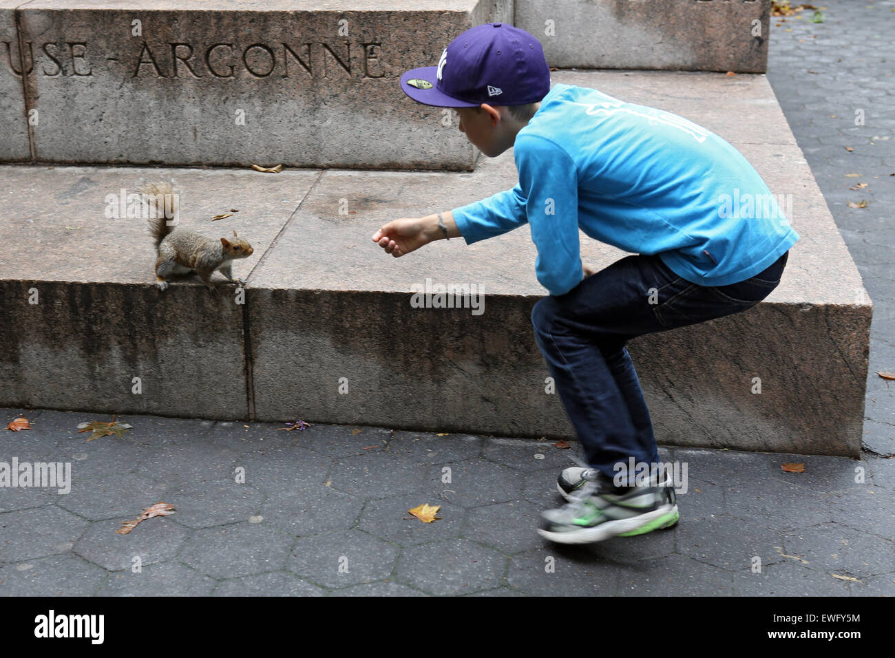 New York, Stati Uniti d'America, un ragazzo sta cercando di attirare scoiattolo grigio Foto Stock