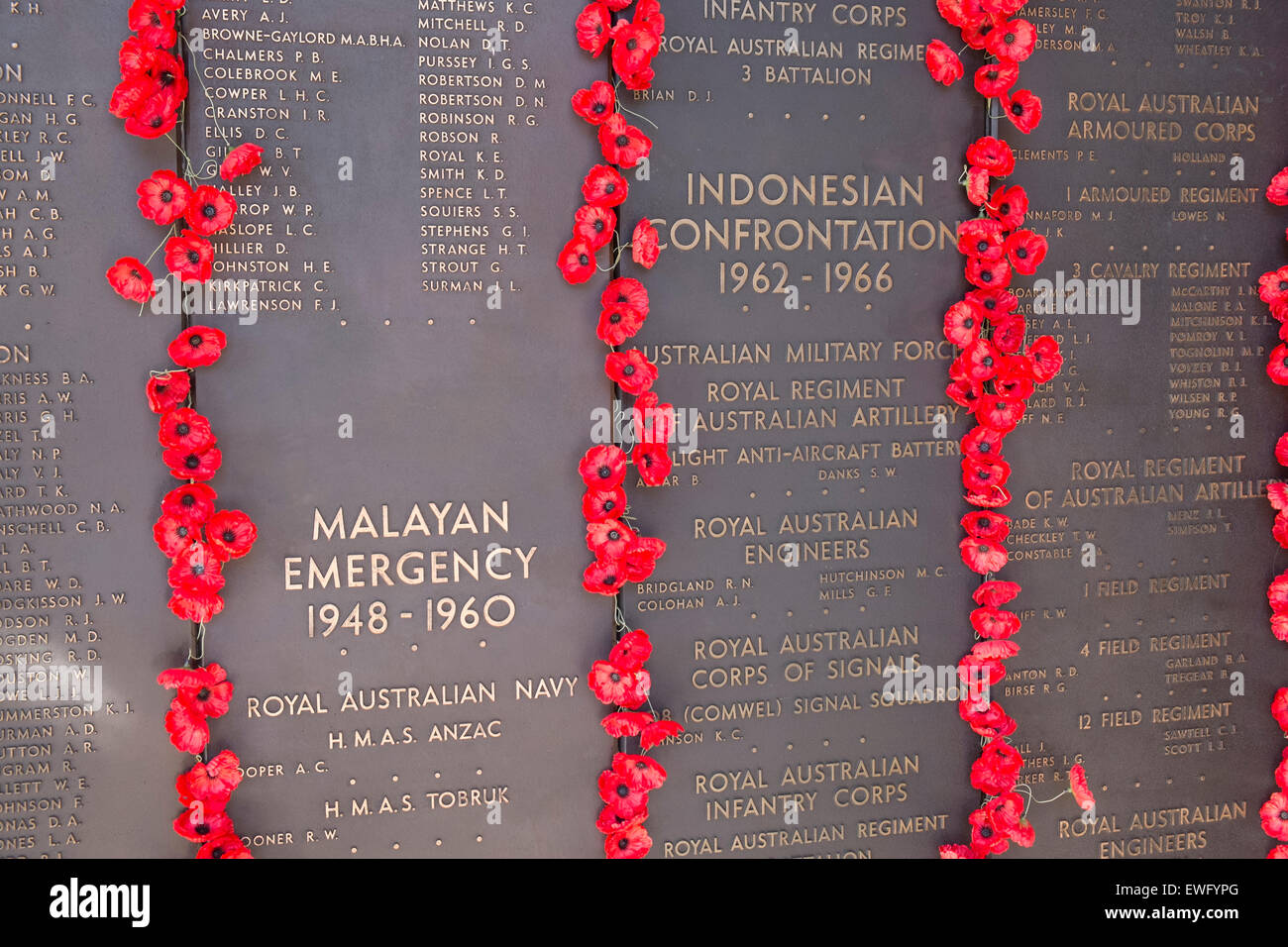 Papaveri, Australian War Memorial, museo militare nel territorio della capitale australiana di Canberra, rispetto a coloro che sono caduti in guerre Foto Stock