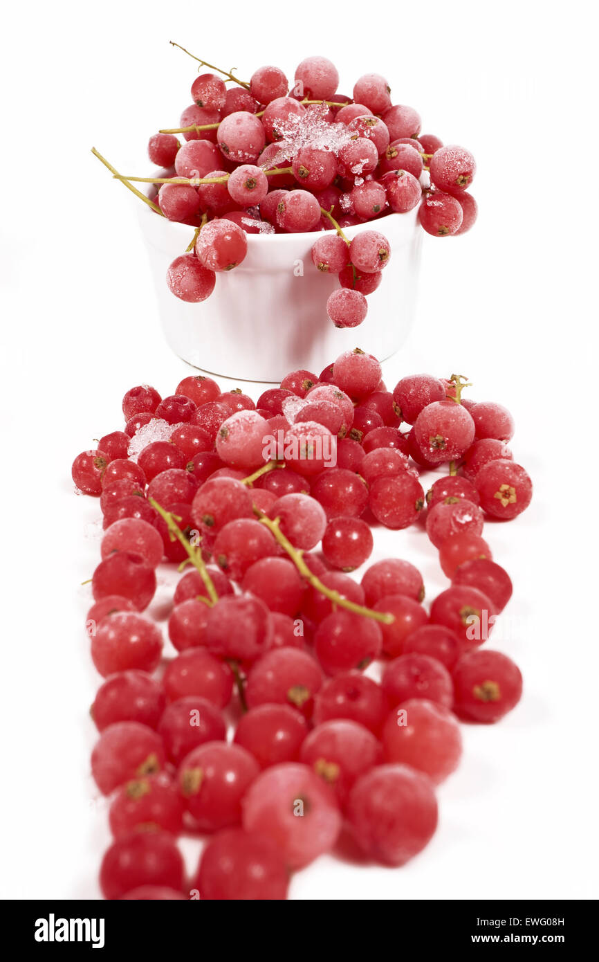 Macro shot di ribes surgelati con steli ricoperti di cristalli di ghiaccio nella parte anteriore di un colore bianco porcellana ciotola con ribes rosso su bianco Foto Stock