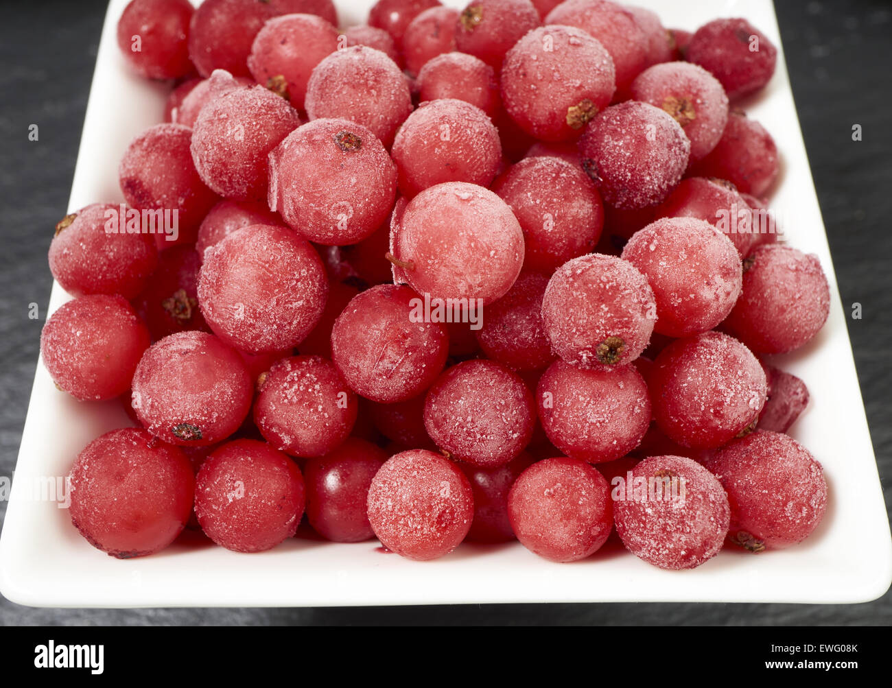 Vista superiore del ribes surgelati coperto con i cristalli di ghiaccio in un colore bianco porcellana ciotola su un piatto di ardesia Foto Stock