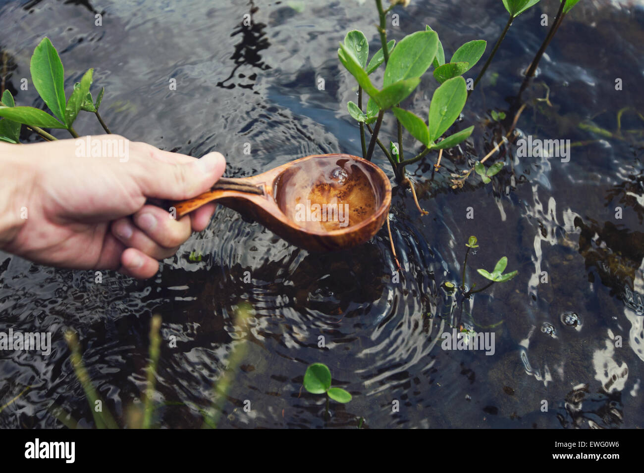 Una mano che regge un mestolo di legno, estraendo l'acqua da un ruscello. L'azione enfatizza un metodo tradizionale di raccolta dell'acqua da fonti naturali in ambienti esterni o rurali. Foto Stock
