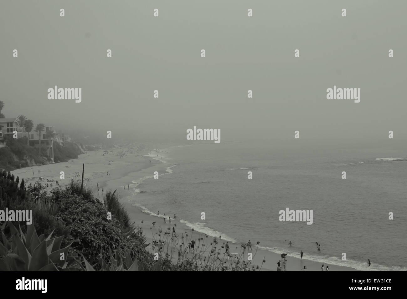 Ocean Beach con le onde del litorale di sabbia spiaggia in bianco e nero costa haze nebbia outdoor monocromatico di onde di piante Foto Stock