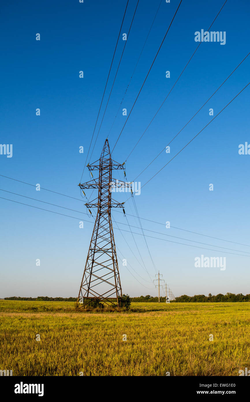 Una torre di linea aerea al centro di un vasto campo, con linee elettriche che si estendono attraverso il cielo. La torre funge da parte fondamentale della rete di distribuzione elettrica nelle aree rurali. Foto Stock