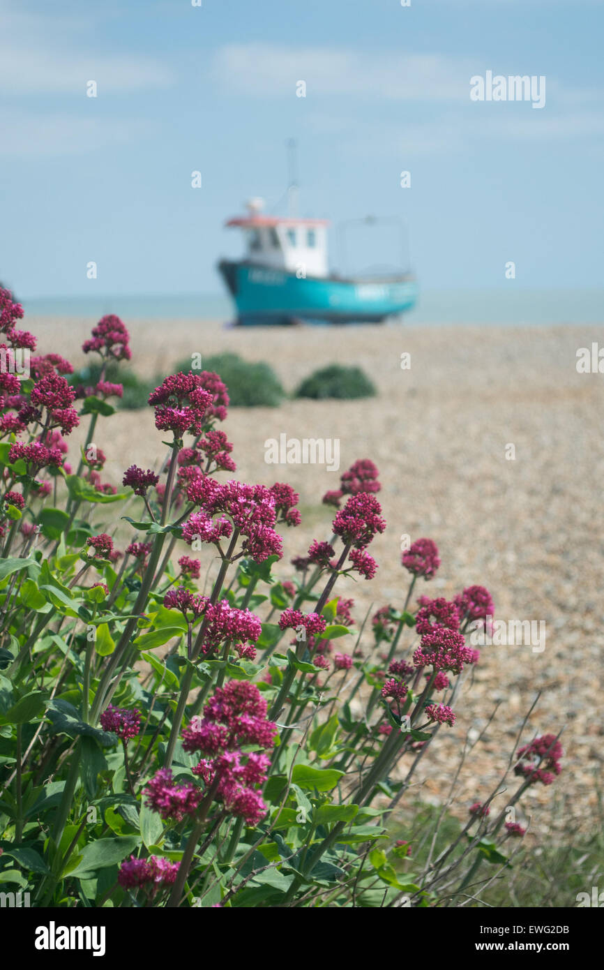 La scena sulla spiaggia con la barca sulla spiaggia di Aldeburgh Foto Stock
