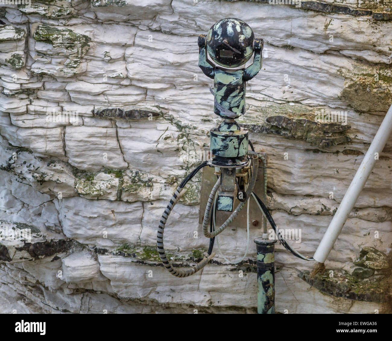 Cliff webcam monitoraggio degli uccelli a Bempton Cliffs, Yorkshire Foto Stock