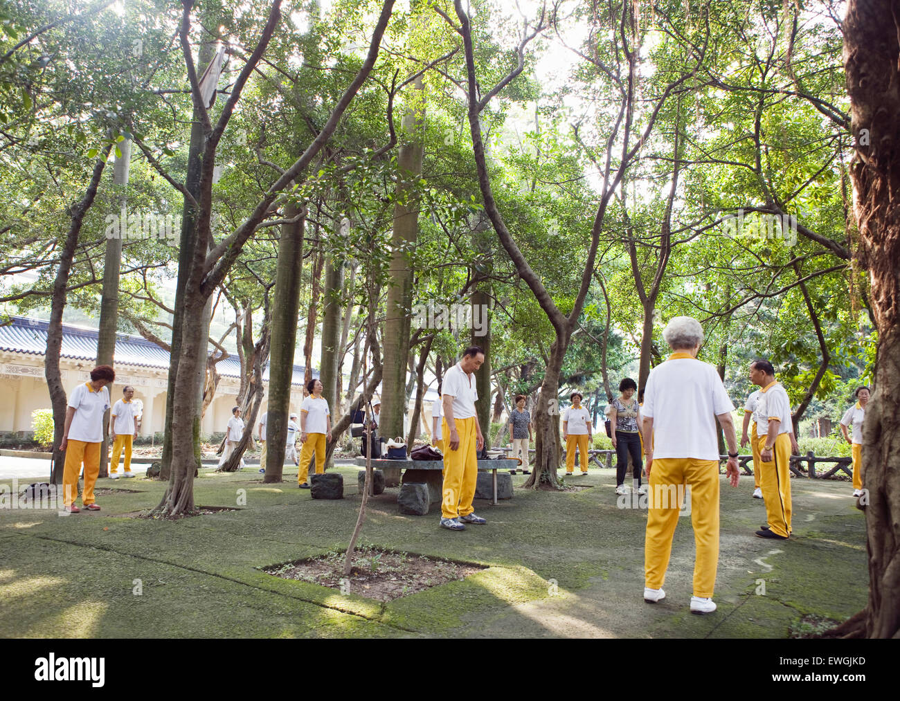Un gruppo di persone di Taiwan pratica del Qigong a Taipei il Chiang Ka-shek Memorial Hall. Taipei, Taiwan. Tai Chi, Quigong pratica. Foto Stock
