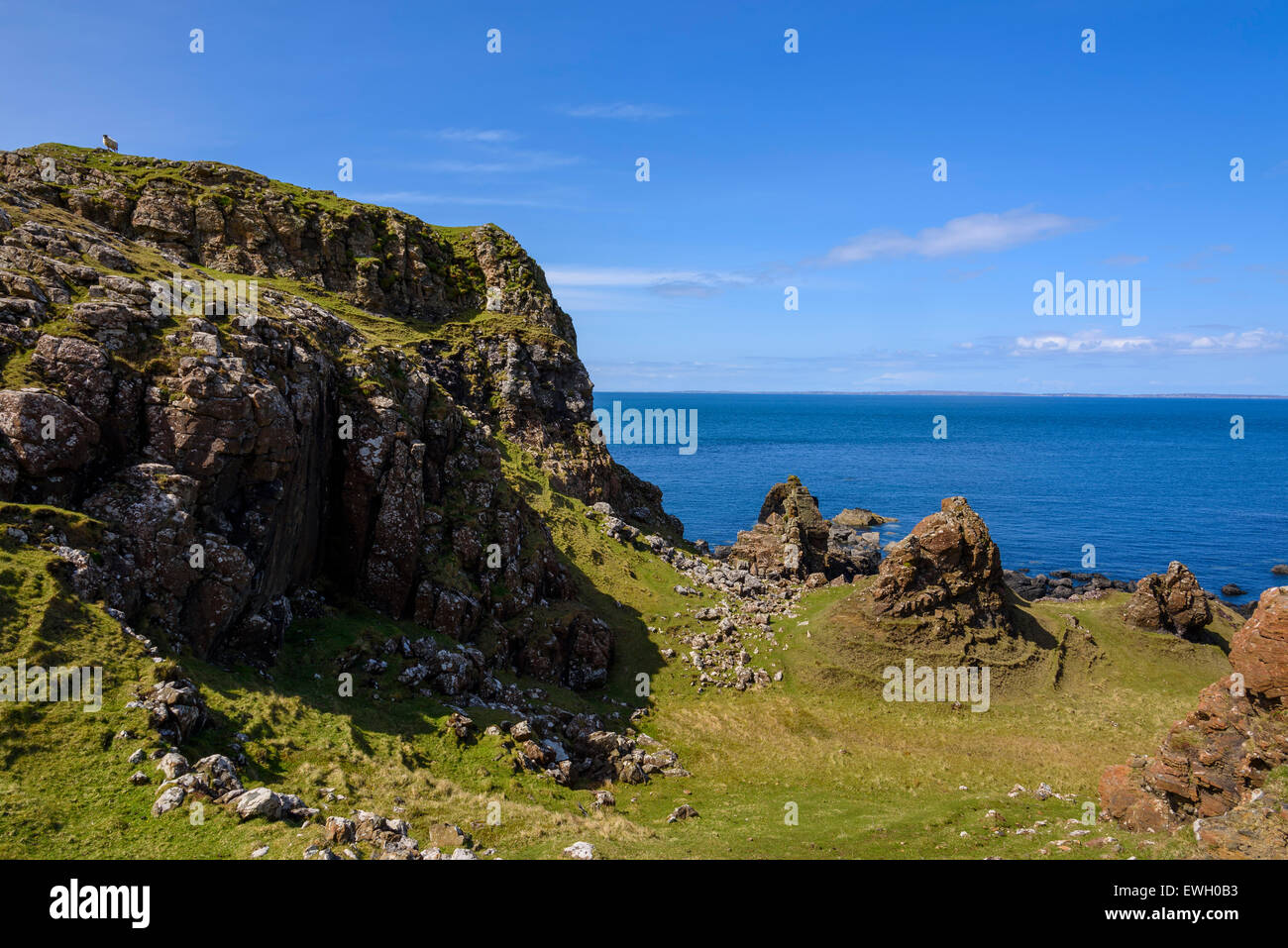 Scogliere intorno al punto di Treshnish, Isle of Mull, Ebridi, Argyll and Bute, Scozia Foto Stock