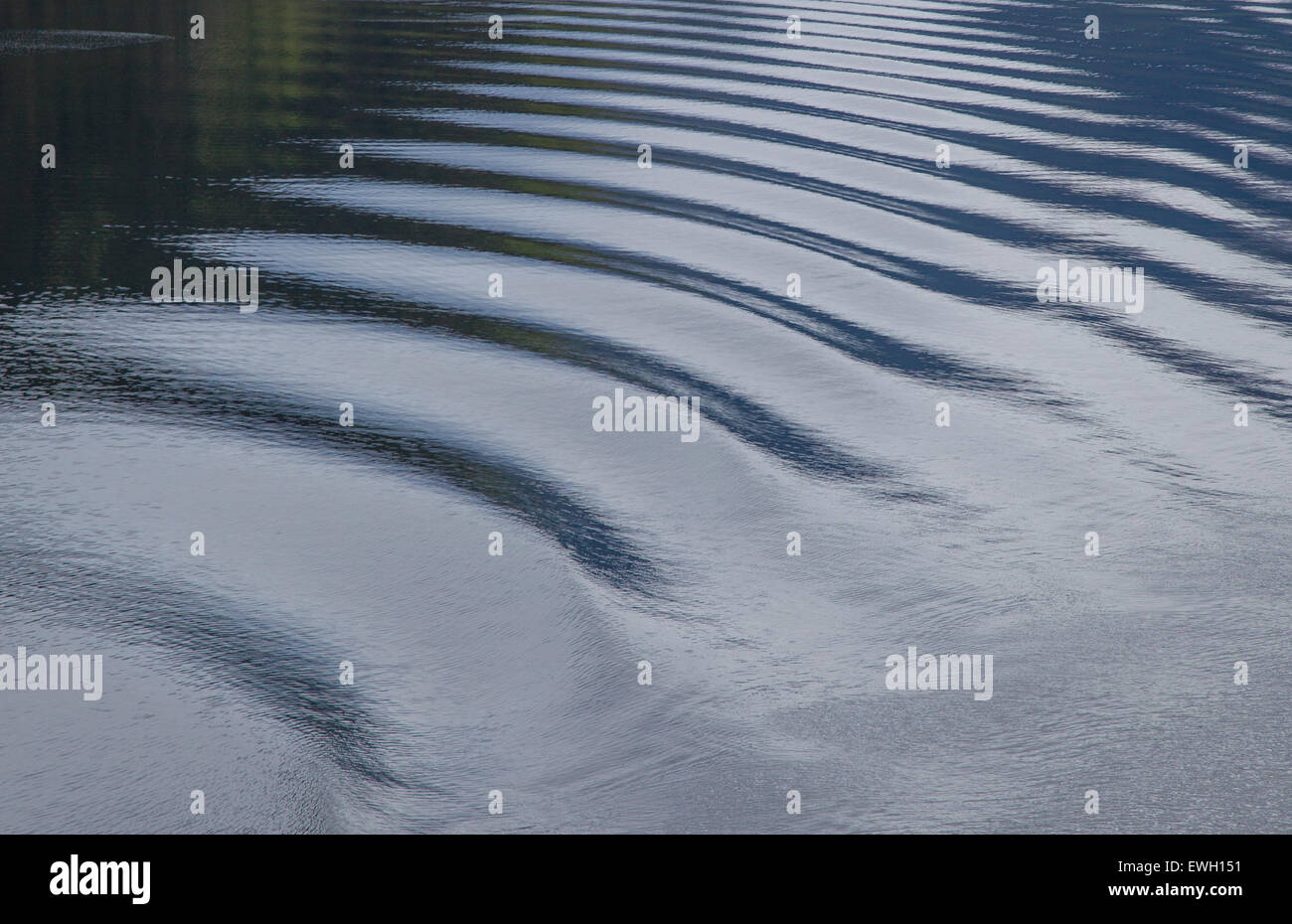 Ripple di acqua in un lago Foto Stock