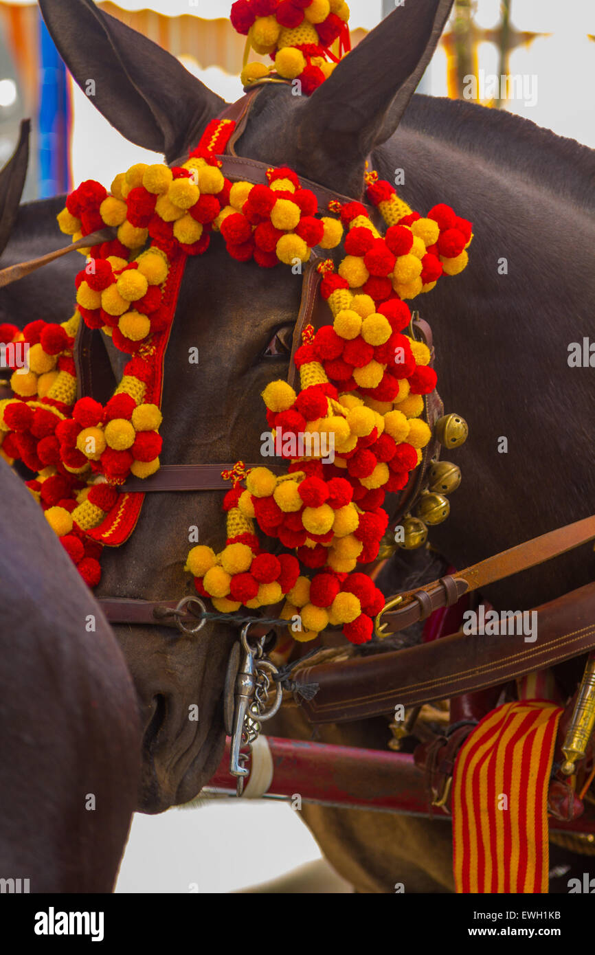 Cavalli graziosi con ornamenti colorati partecipare al famoso cavallo andaluso Fair andujar, Spagna Foto Stock