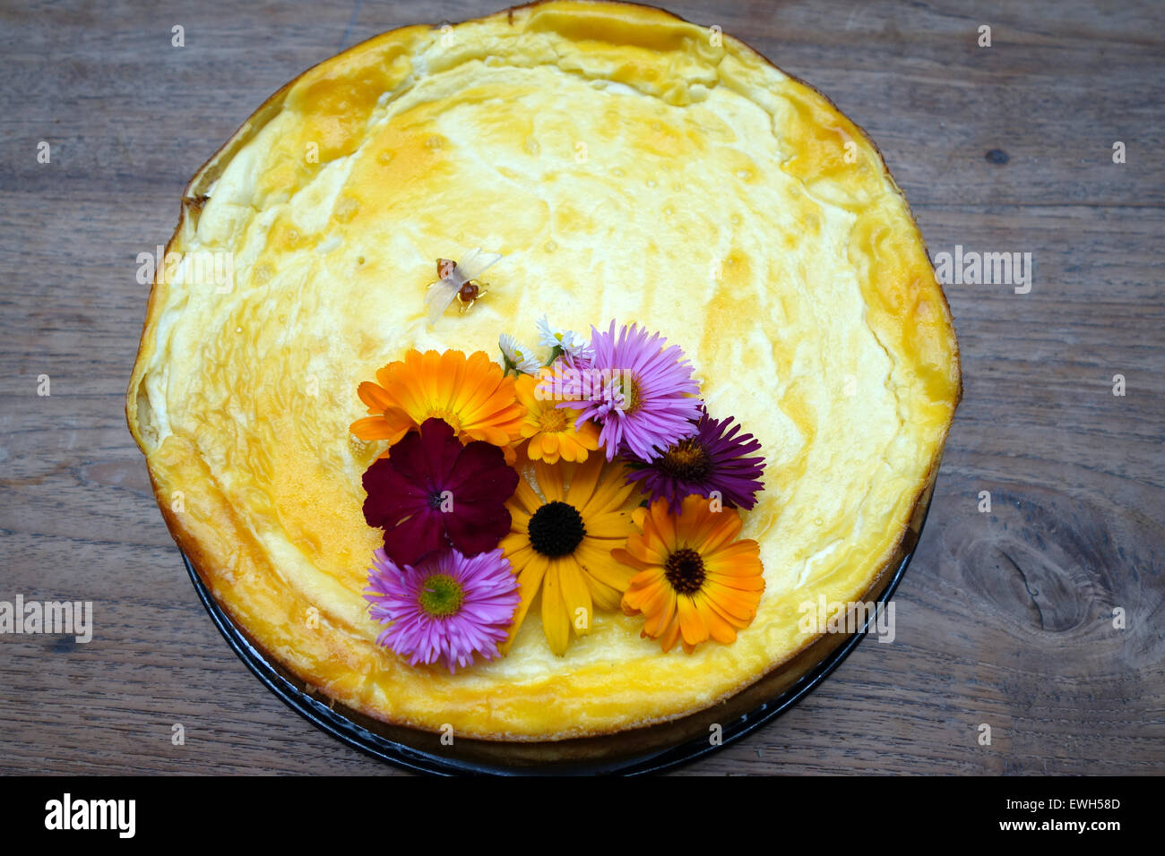 Berlino, Germania, cheesecake è decorato con fiori e arte bee Foto Stock