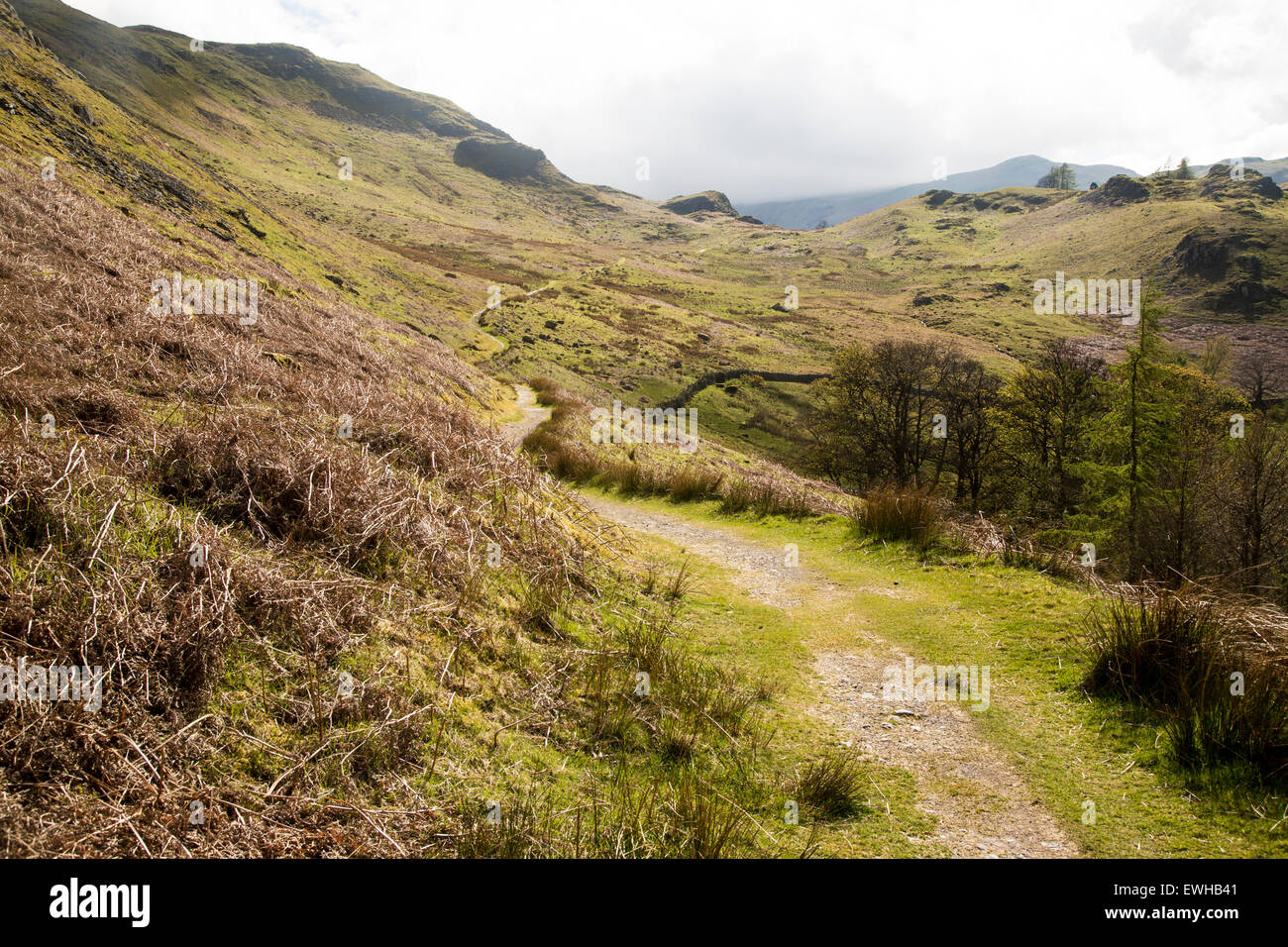 Lakeland paesaggio intorno Howtown, Ullswater, Parco Nazionale del Distretto dei Laghi, Cumbria, England, Regno Unito Foto Stock