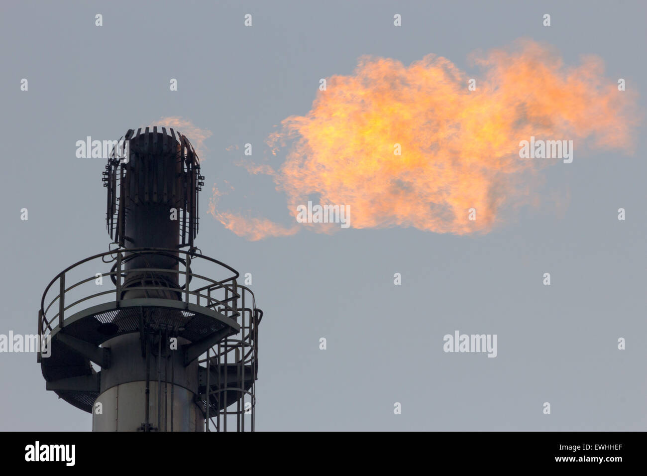 Bruciatore a fiamma viva di gas in corrispondenza di una raffineria Foto Stock