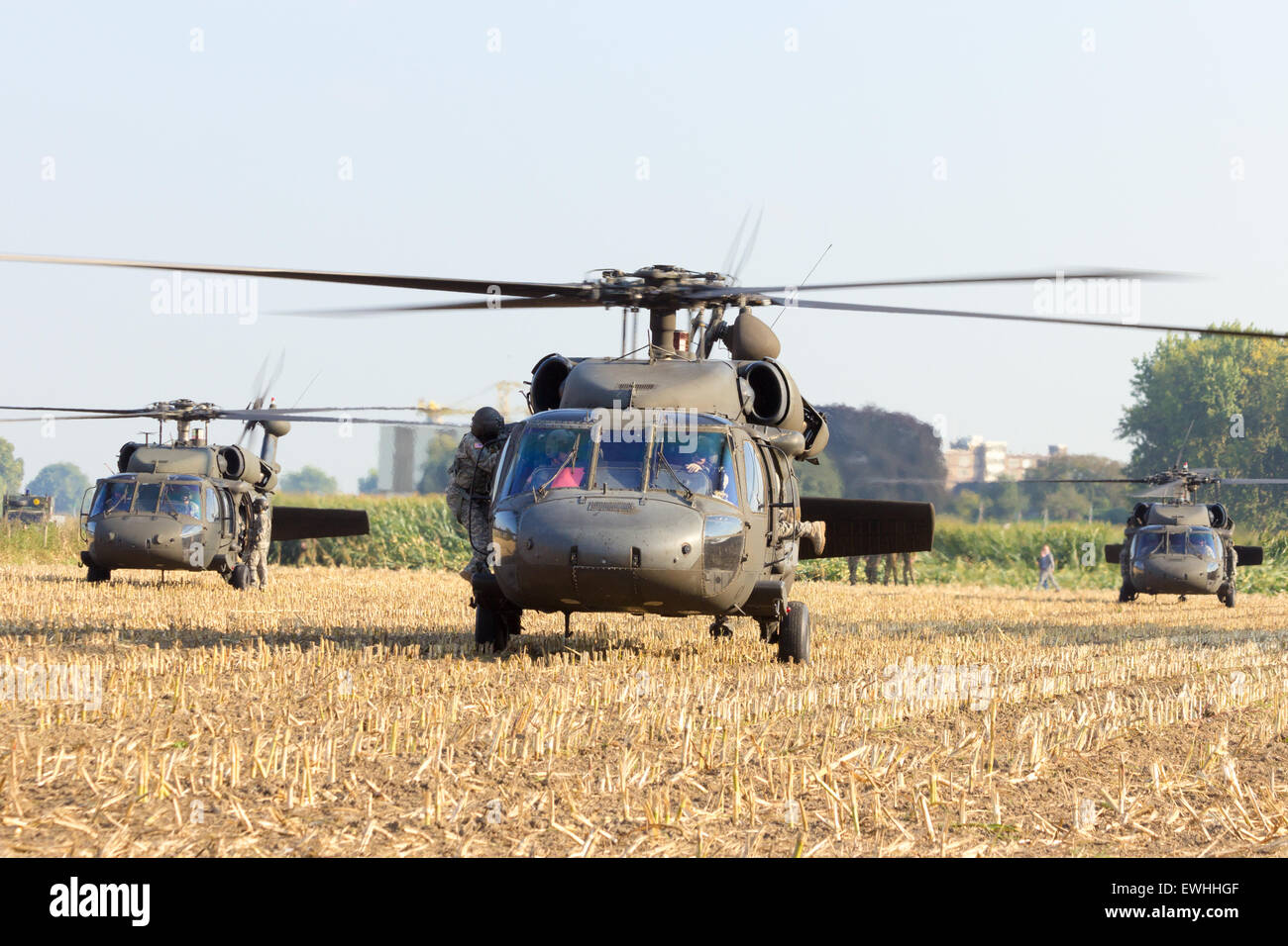 American Black Hawk elicotteri in un campo di mais Foto Stock