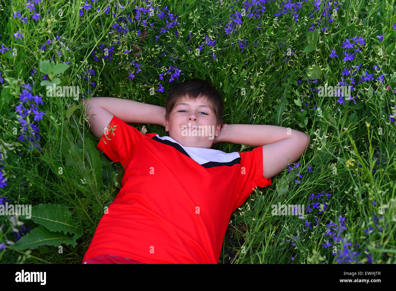 Ragazzo adolescente in appoggio sul prato con fiori di colore blu Foto Stock