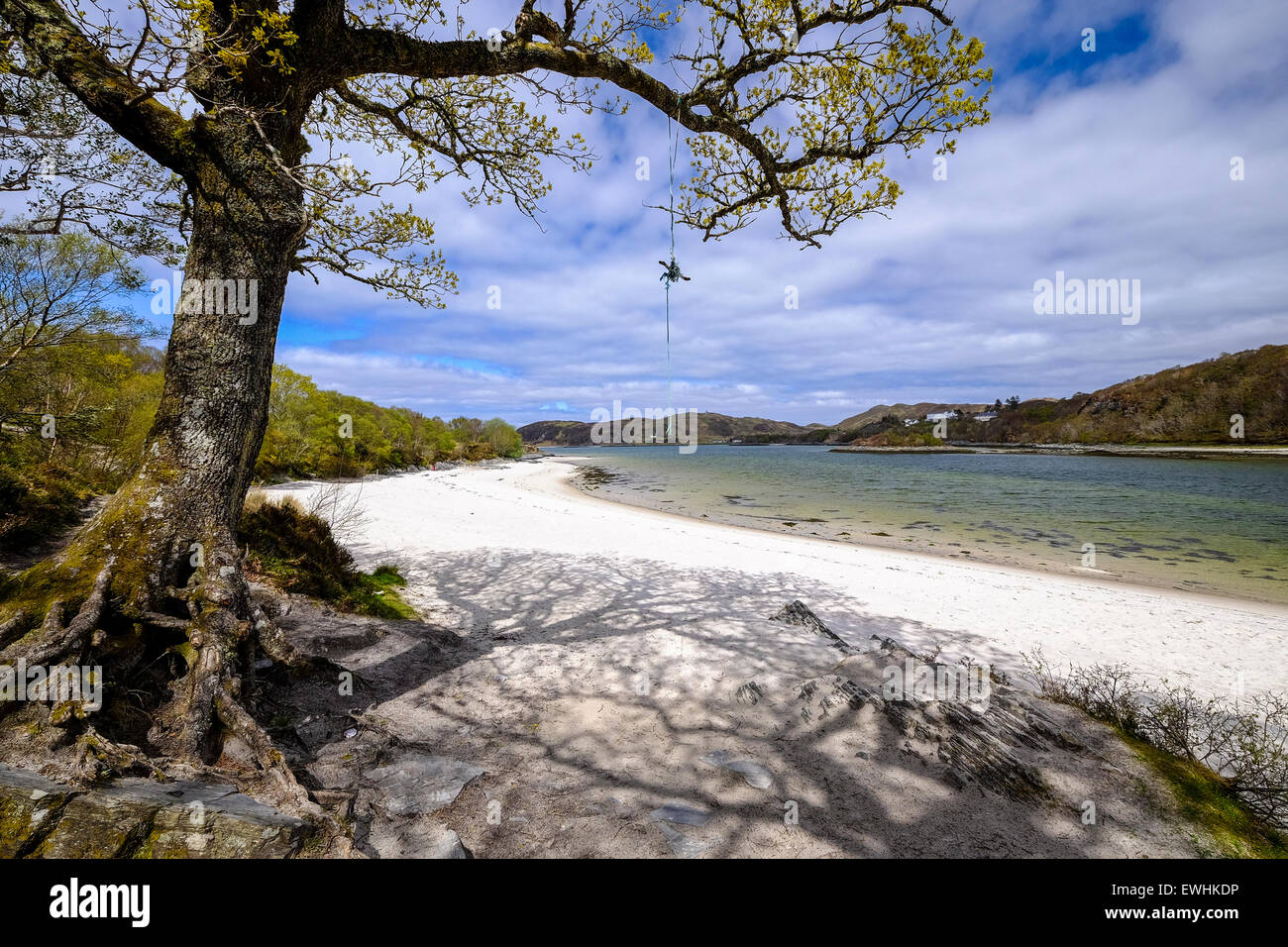 Morar, Scozia. I resti di una corda swing da appendere un albero presso il Silver Sands di Morar nel nord-ovest della Scozia Foto Stock