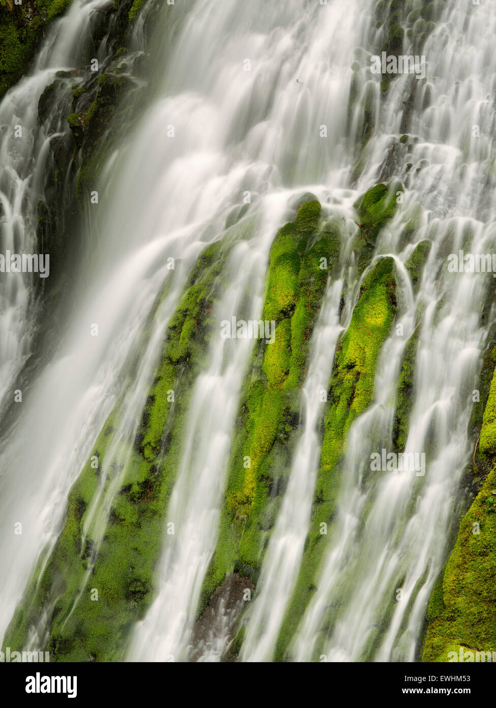 Panther Creek Falls. Washington Foto Stock