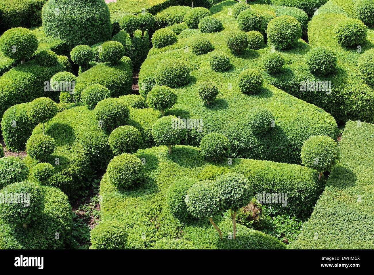 Crazy, fantasy bosso topiaria da alberi e siepi a Chateau Du Marquessay. Foto Stock