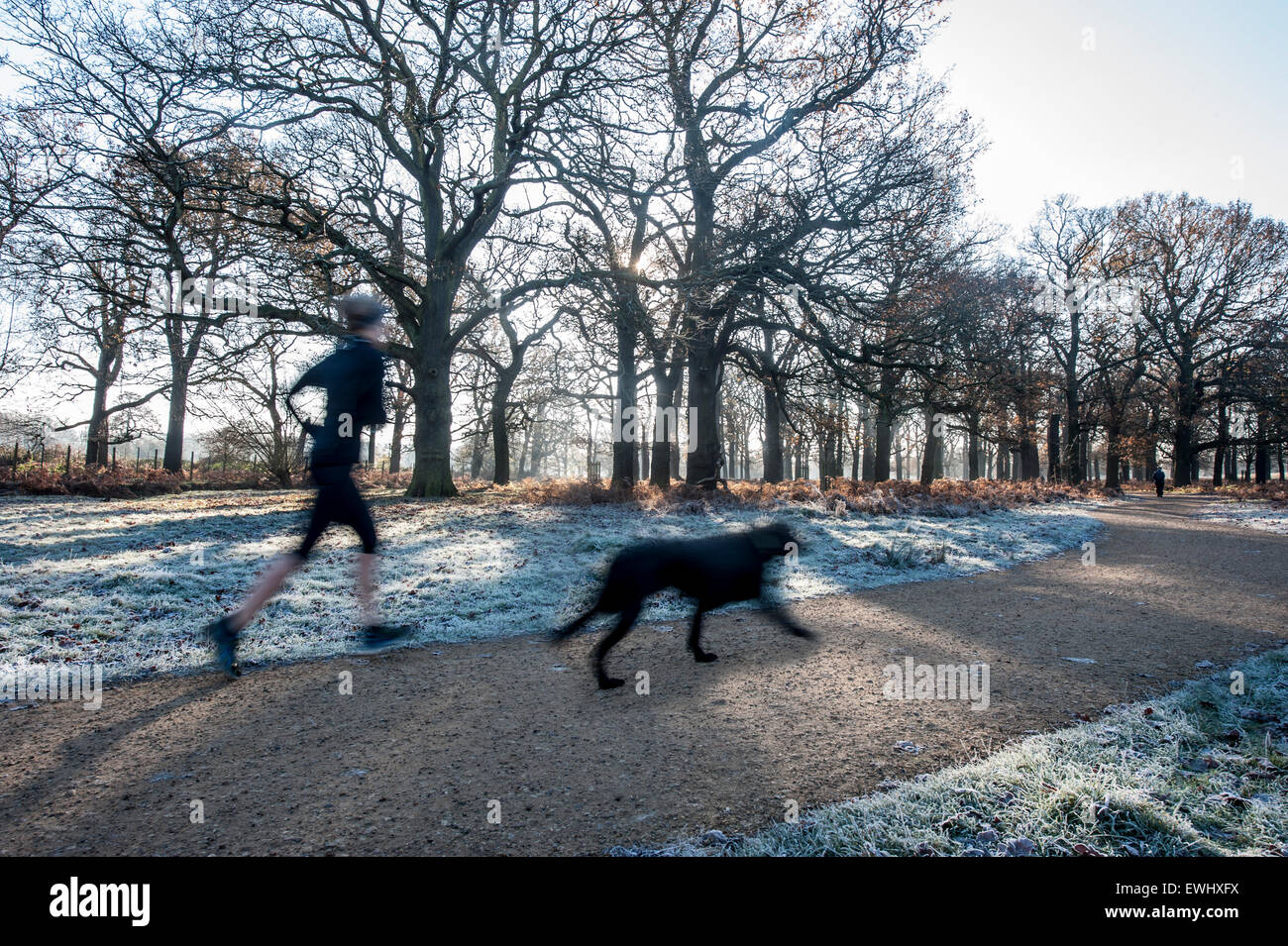 Una corsa dopo il pranzo di Natale per mantenere il peso fuori su una molto freddo e gelido giorno in inverno in Richmond Park Foto Stock