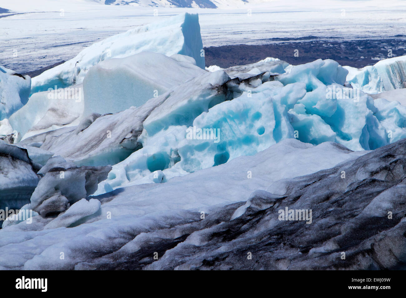 Bianco e nero iceberg galleggianti in Jokulsarlon laguna glaciale Islanda Foto Stock