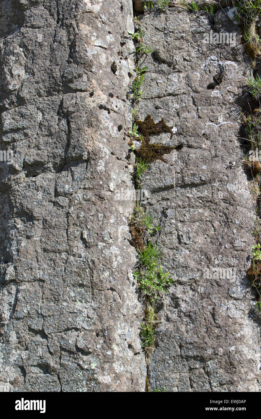 Nana Dverghamrar rocce vulcaniche di colonne di basalto Islanda Foto Stock