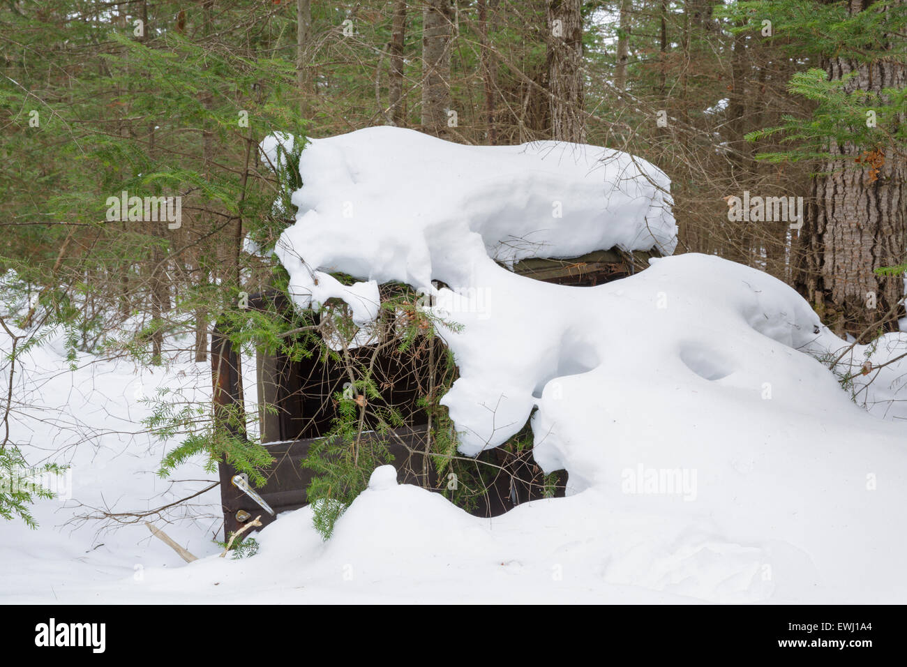 Carrello abbandonato nella foresta della Franconia, New Hampshire USA durante i mesi invernali. Questo è forse un tardi 1930s/1940s Chevro Foto Stock