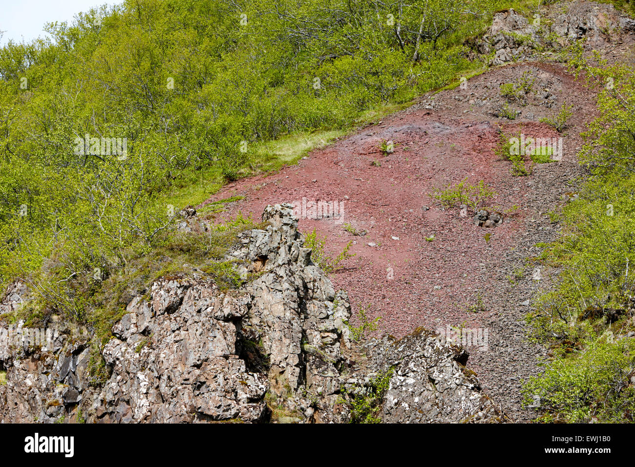 Rosso lo strato di strato di ossidazione del ferro suolo Islanda Foto Stock