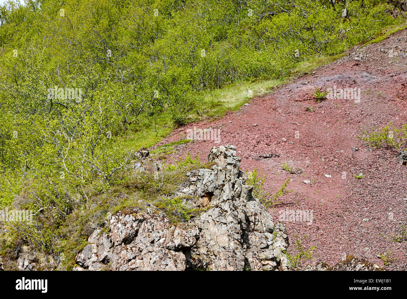 Rosso lo strato di strato di ossidazione del ferro terreno sopra il basalto dike Islanda Foto Stock