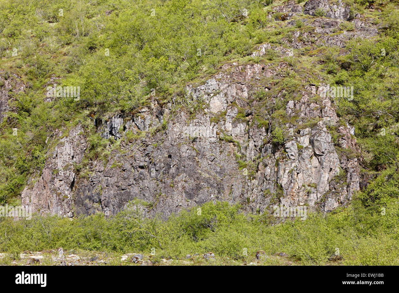 Il basalto dighe sporgente dalla collina Islanda Foto Stock