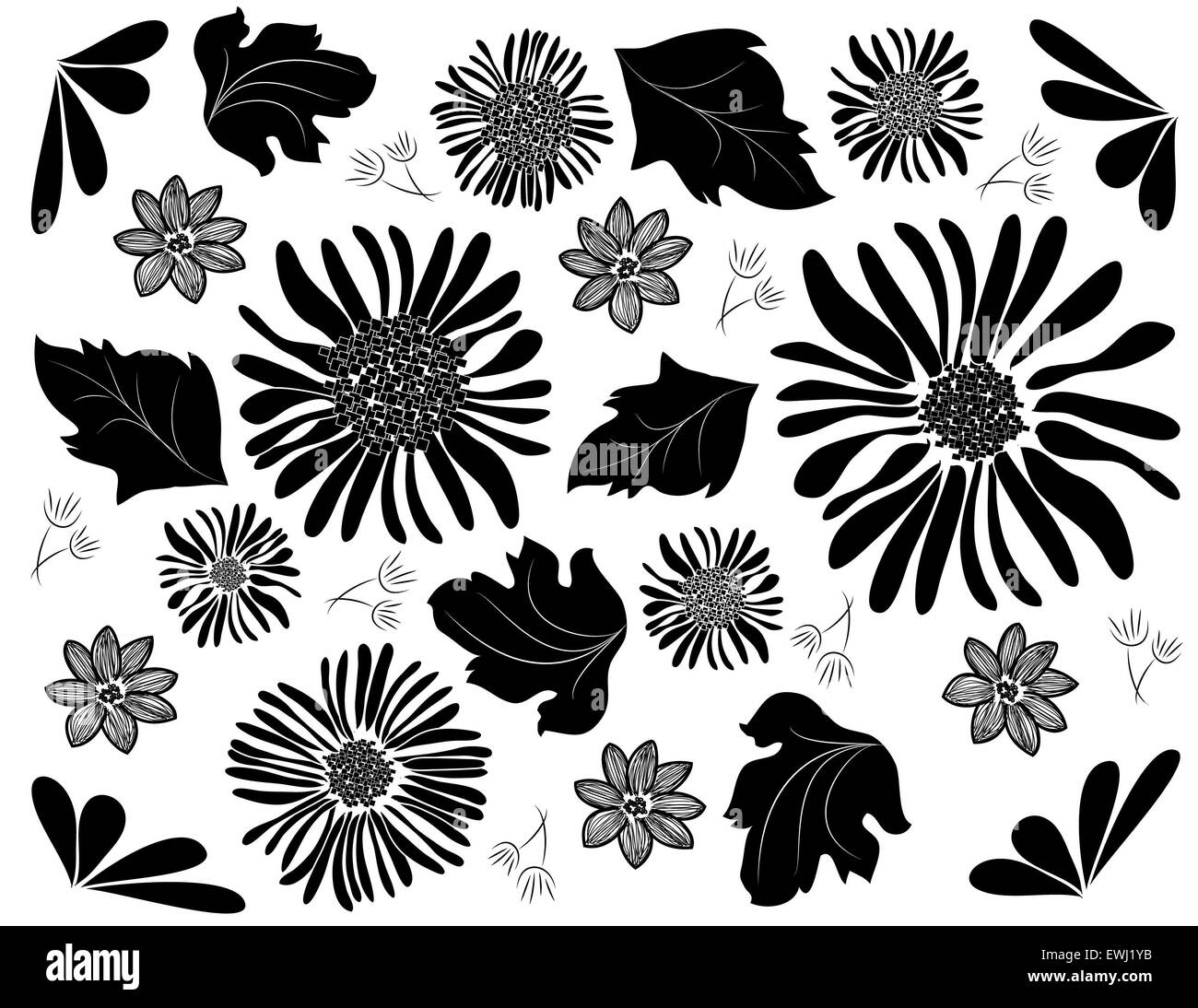 Spontaneo e originale composizione floreale in bianco e nero per decorare il tuo spirito Foto Stock