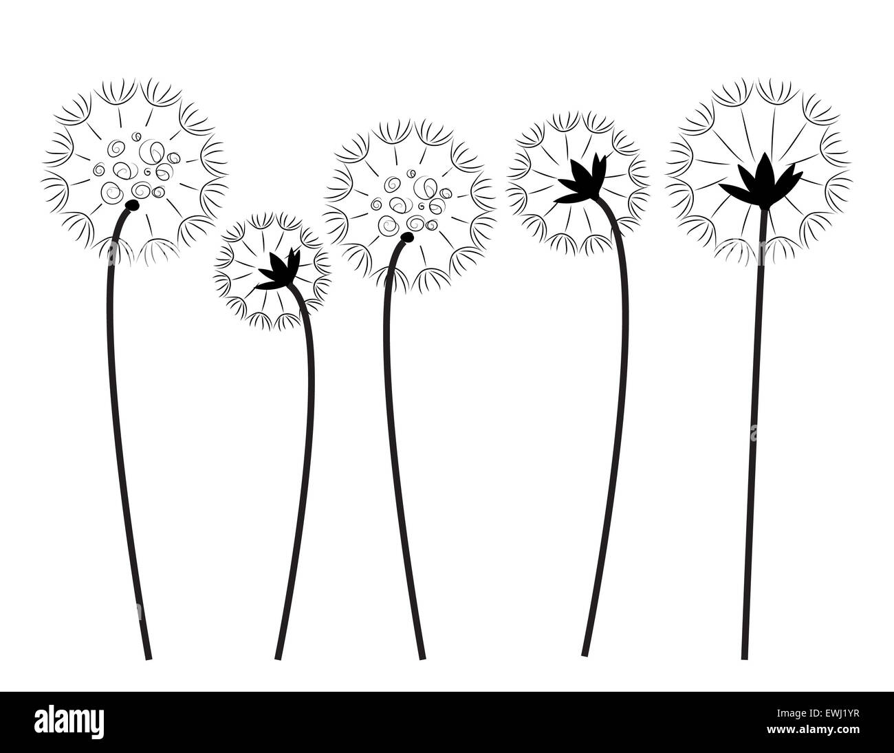 Cinque opere d'arte digitale di tarassaco in bianco e nero per decorare e dare la felicità e l'amore. Foto Stock
