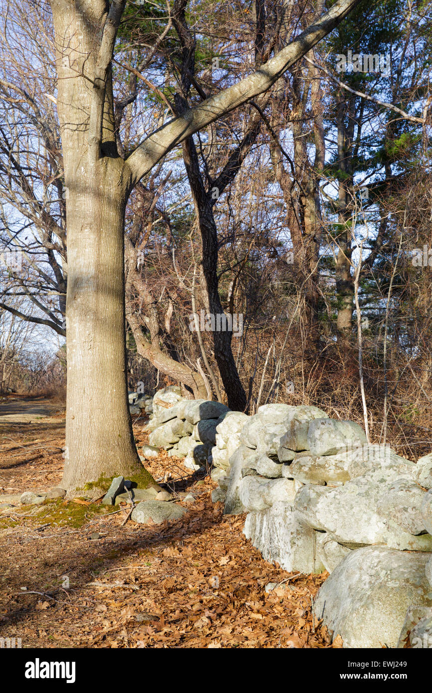 Muro di pietra a Odiorne Point State Park in segale, New Hampshire USA durante i mesi primaverili Foto Stock