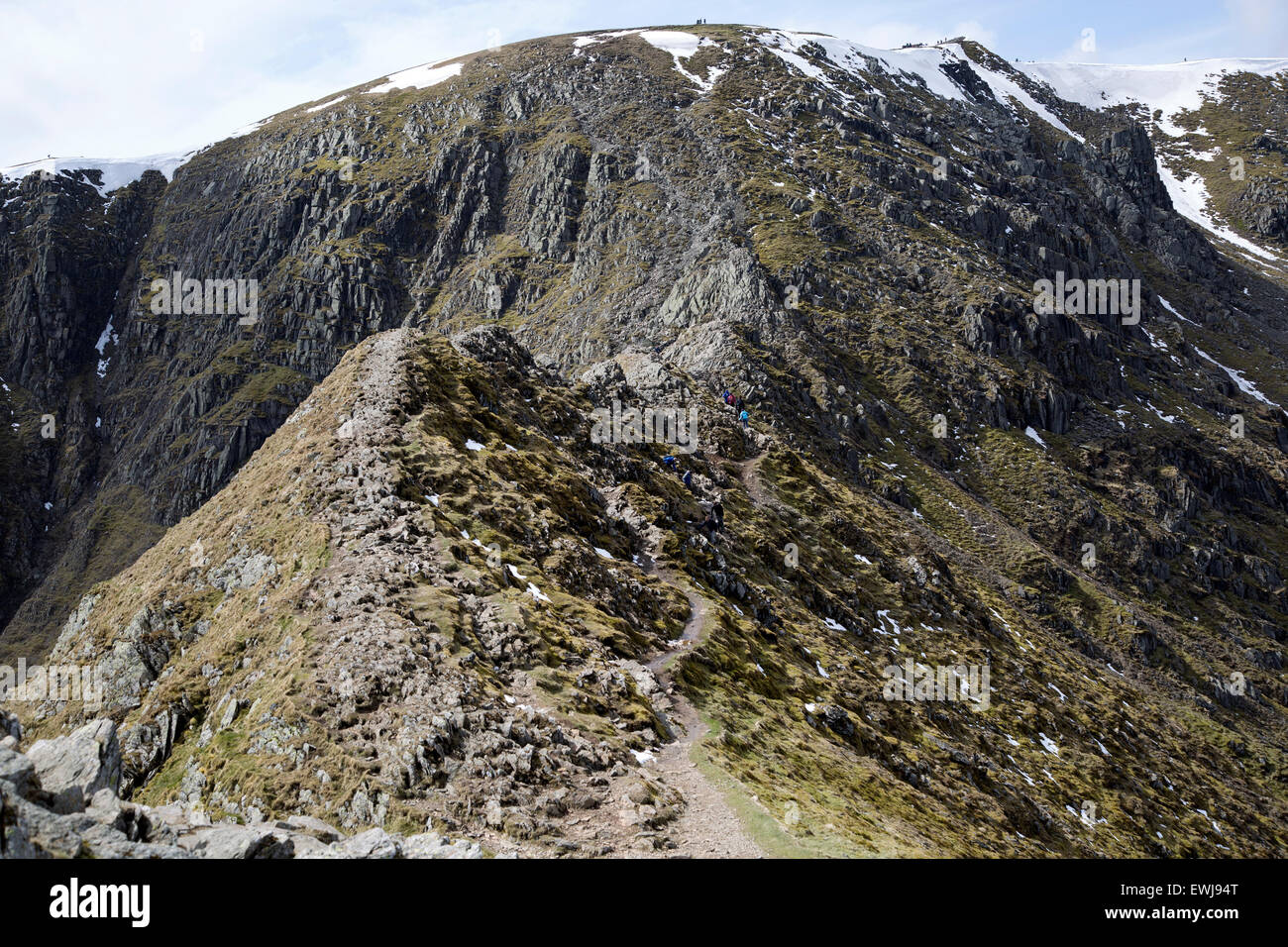 Bordo di estensione arete e Helvellyn picco di montagna, Lake District, Cumbria, England, Regno Unito Foto Stock