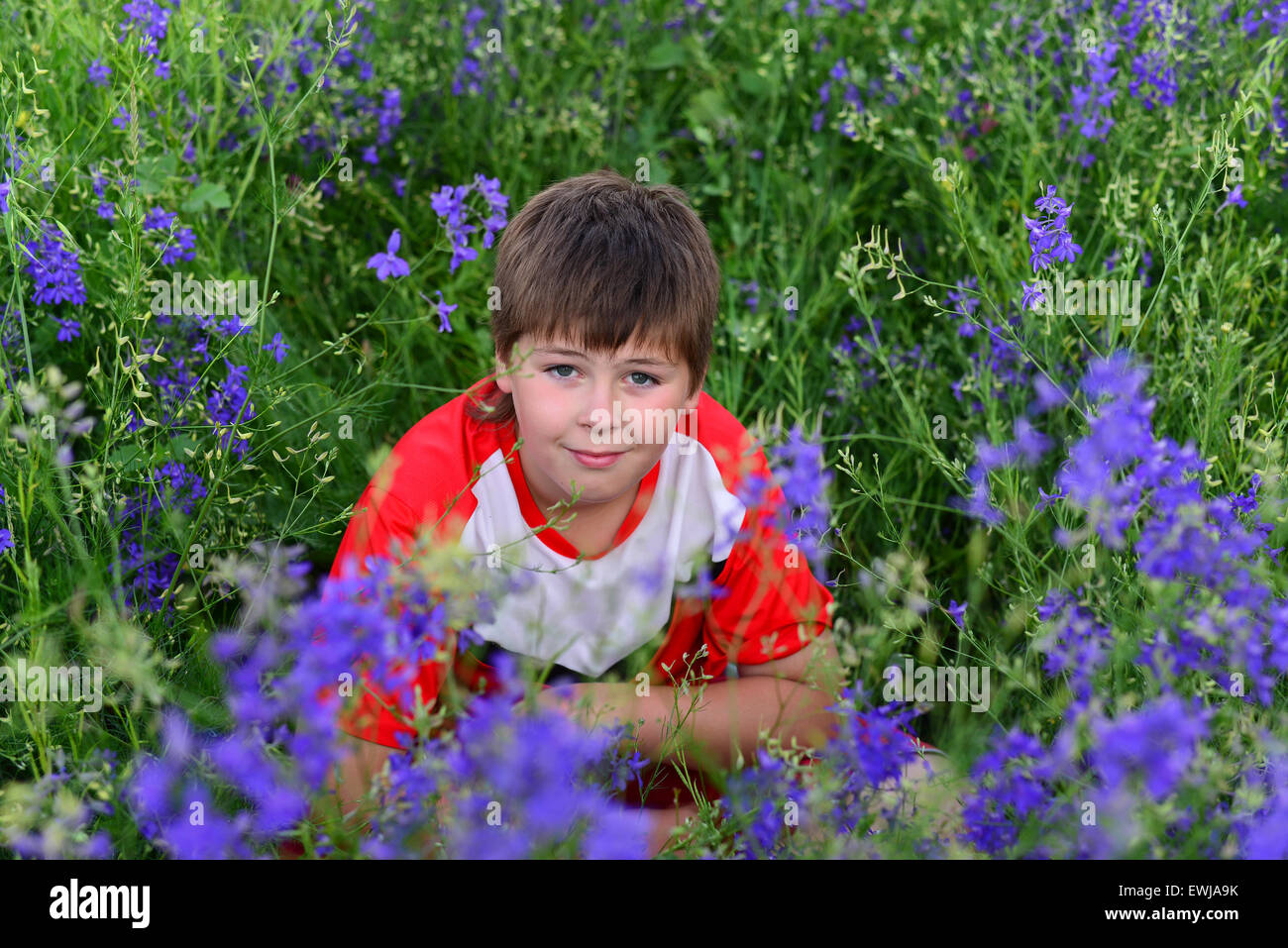 Ragazzo adolescente in appoggio sul prato con fiori di colore blu Foto Stock