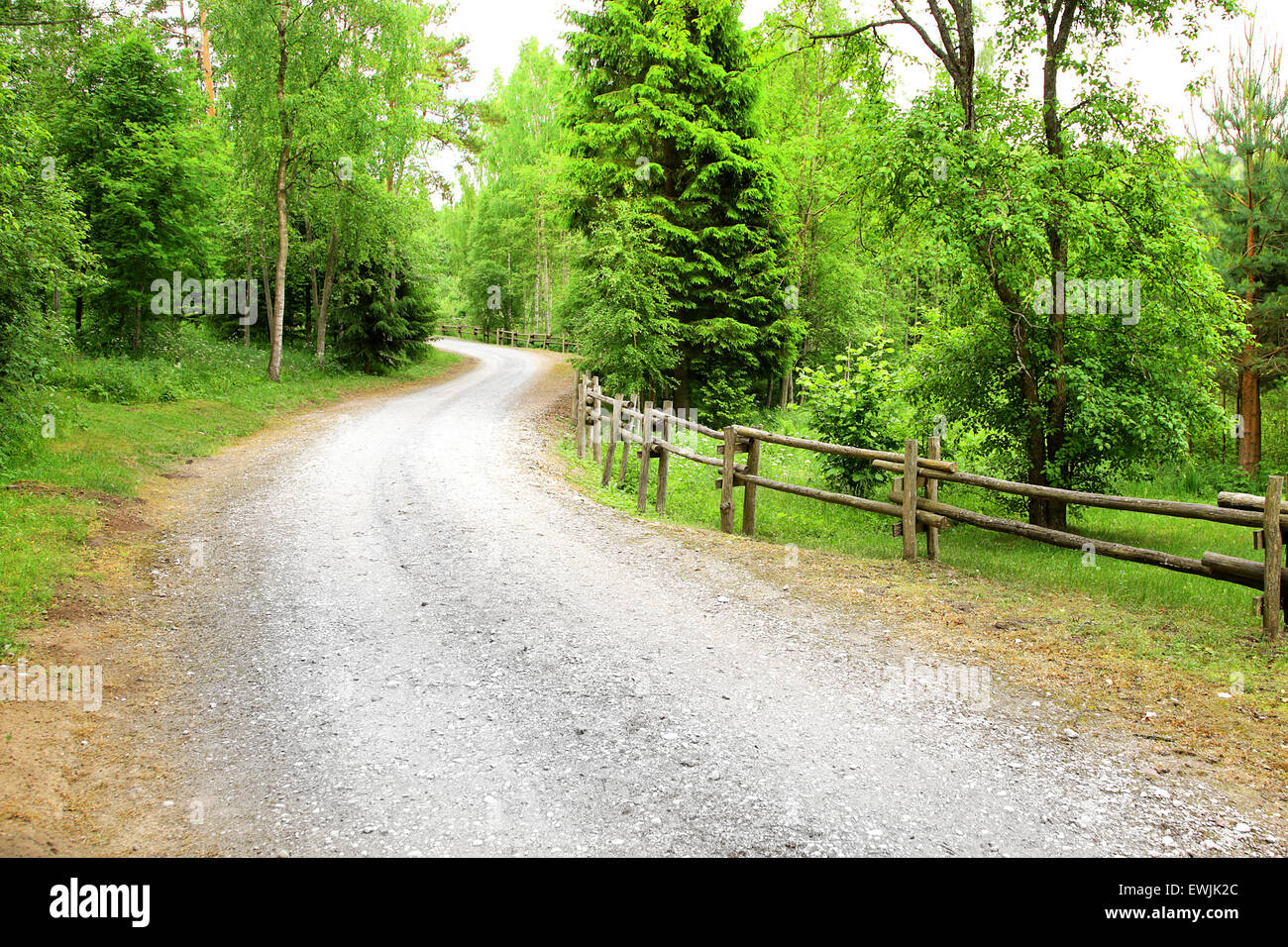 Avvolgimento su strada forestale che rappresenta le vie del Signore sono imperscrutabili Foto Stock
